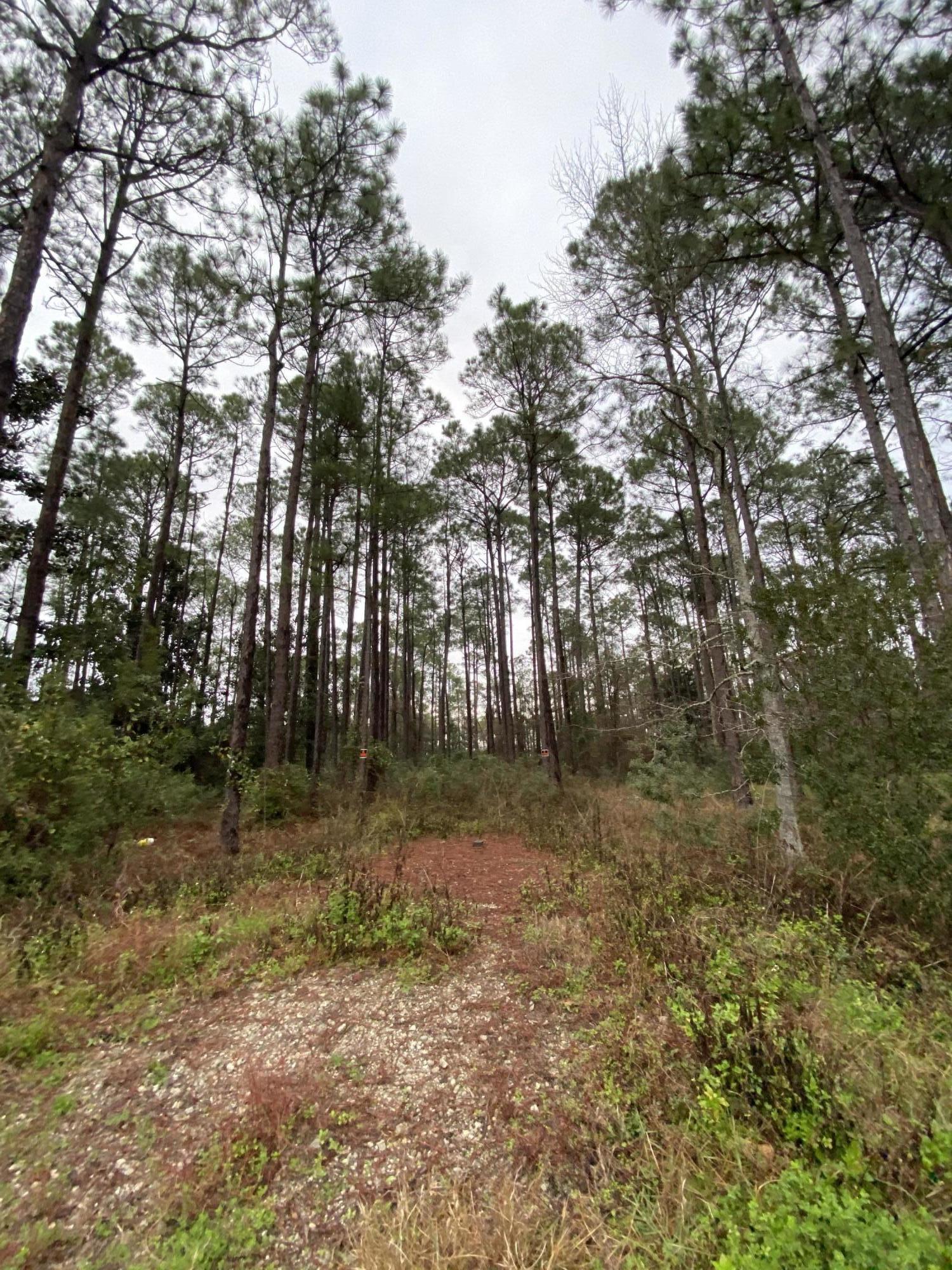 UNRECORDED SUBDIVISION - Land