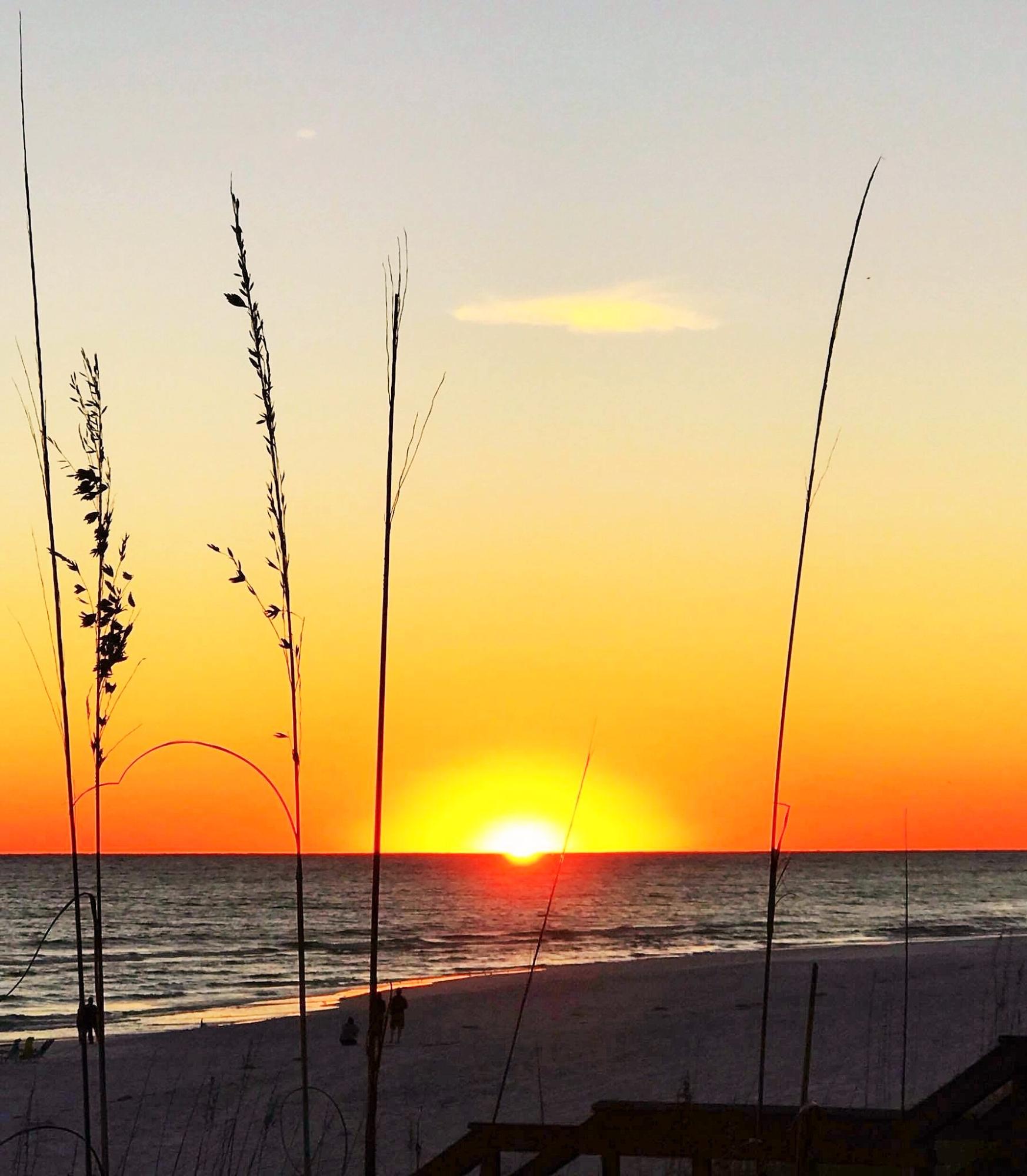 Gulf Islands Condominiums - Residential