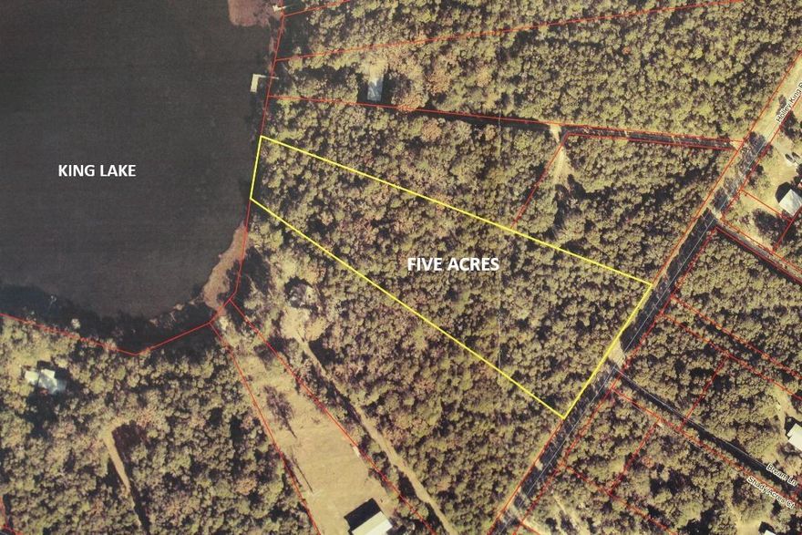 Prime Waterfront Opportunity on King Lake - Rare opportunity to own 5 beautiful waterfront acres on King Lake, offering both natural beauty and exceptional development potential. This property is zoned Rural Village, allowing up to 2 homes per acre, making it ideal for a small residential development, family compound, or private lakefront estate. Enjoy peaceful lake views, abundant wildlife, and the serenity of waterfront living while maintaining flexibility for future growth. With generous acreage and favorable zoning, this property presents a unique chance to maximize value in a highly desirable setting. Whether you're a developer, investor, or buyer looking to build multiple lakefront homes, opportunities like this on King Lake are rare.  Great fishing!!!! Big bass and bream!!