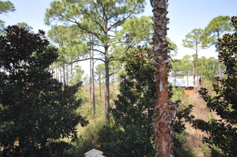 LASATA - Residential