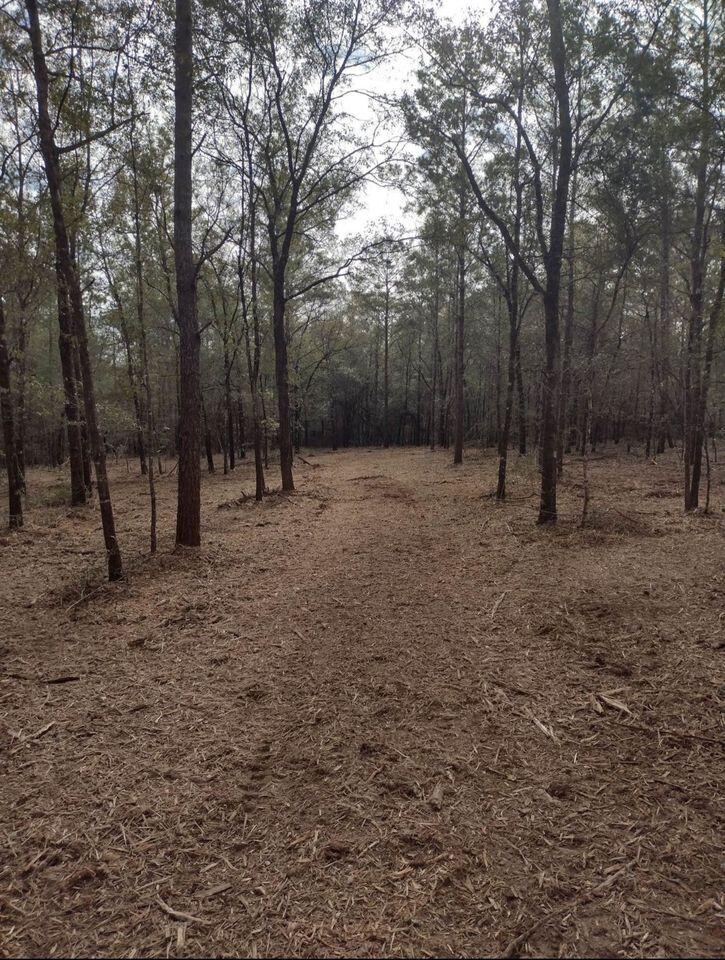 Ponderosa Lane - Land