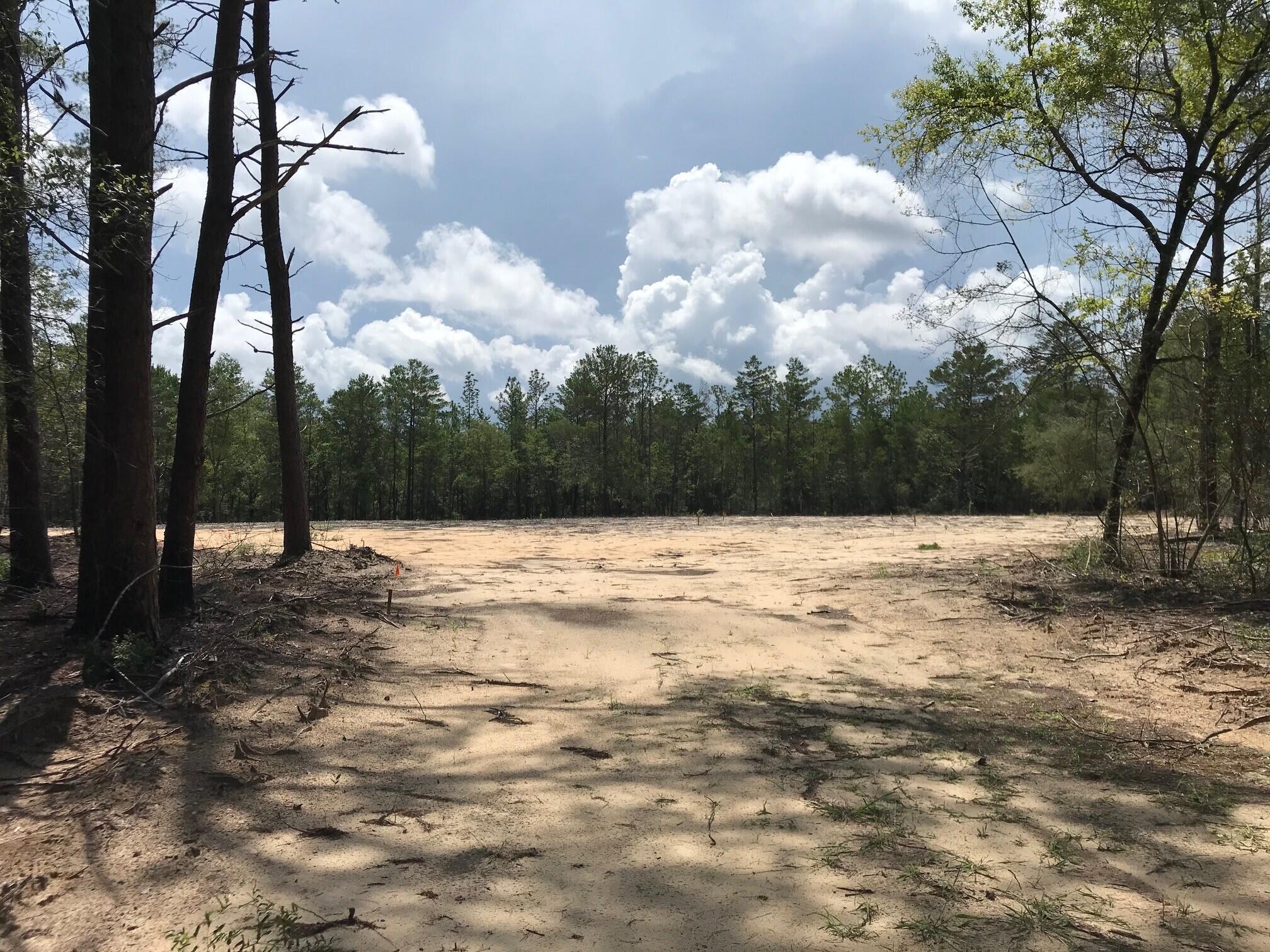Ponderosa Lane - Land