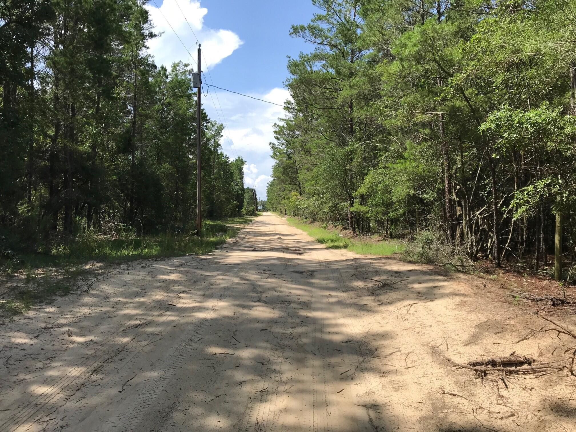 Ponderosa Lane - Land