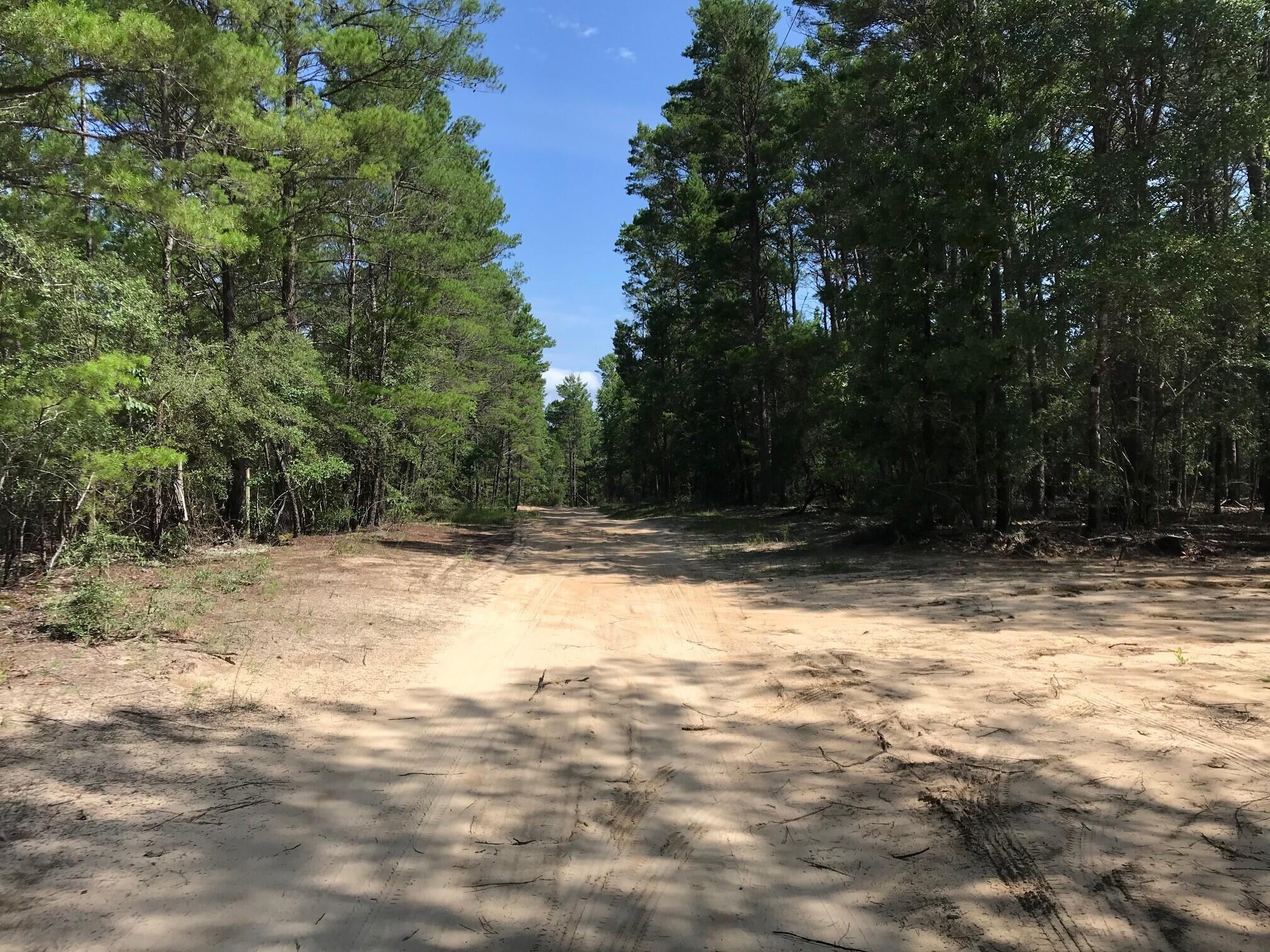 Ponderosa Lane - Land