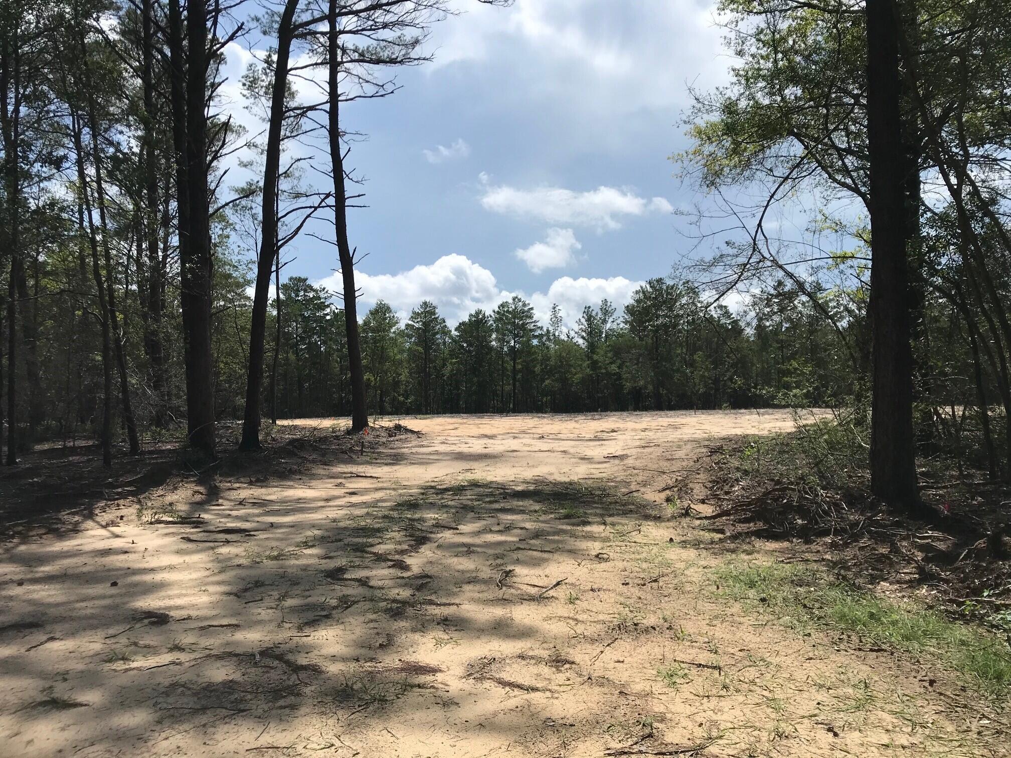 Ponderosa Lane - Land