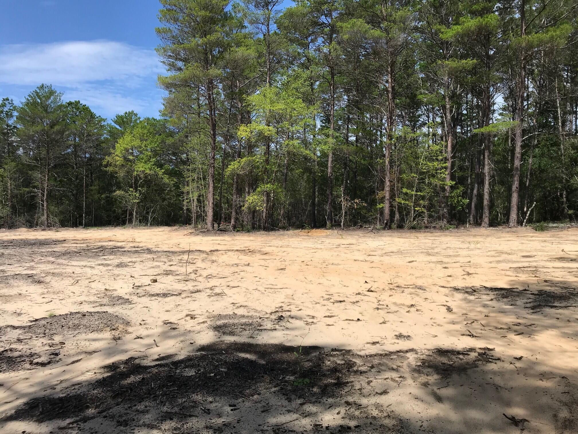Ponderosa Lane - Land