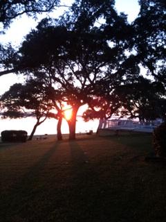 CEDARS CONDO - Residential