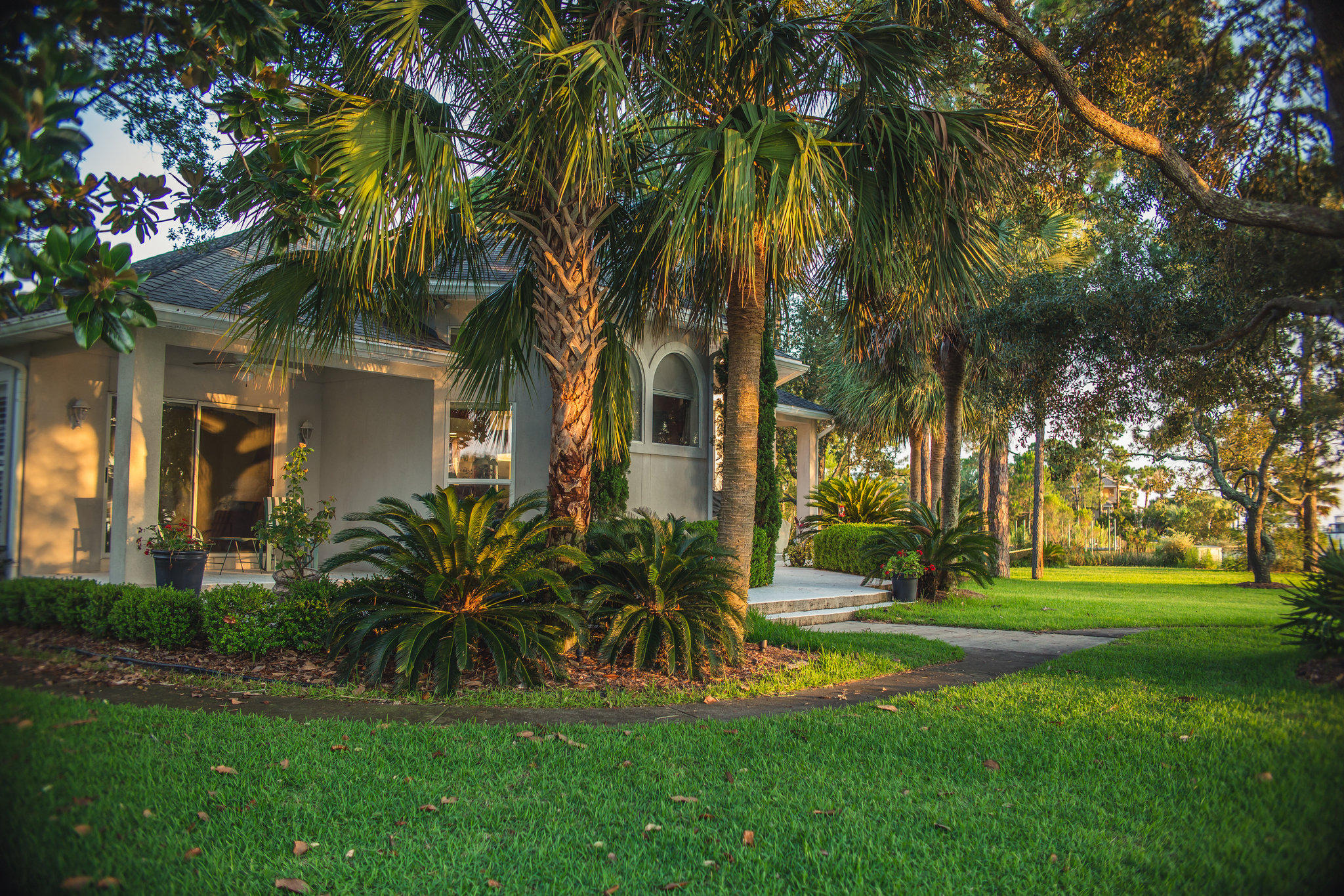 DANA POINTE - Residential