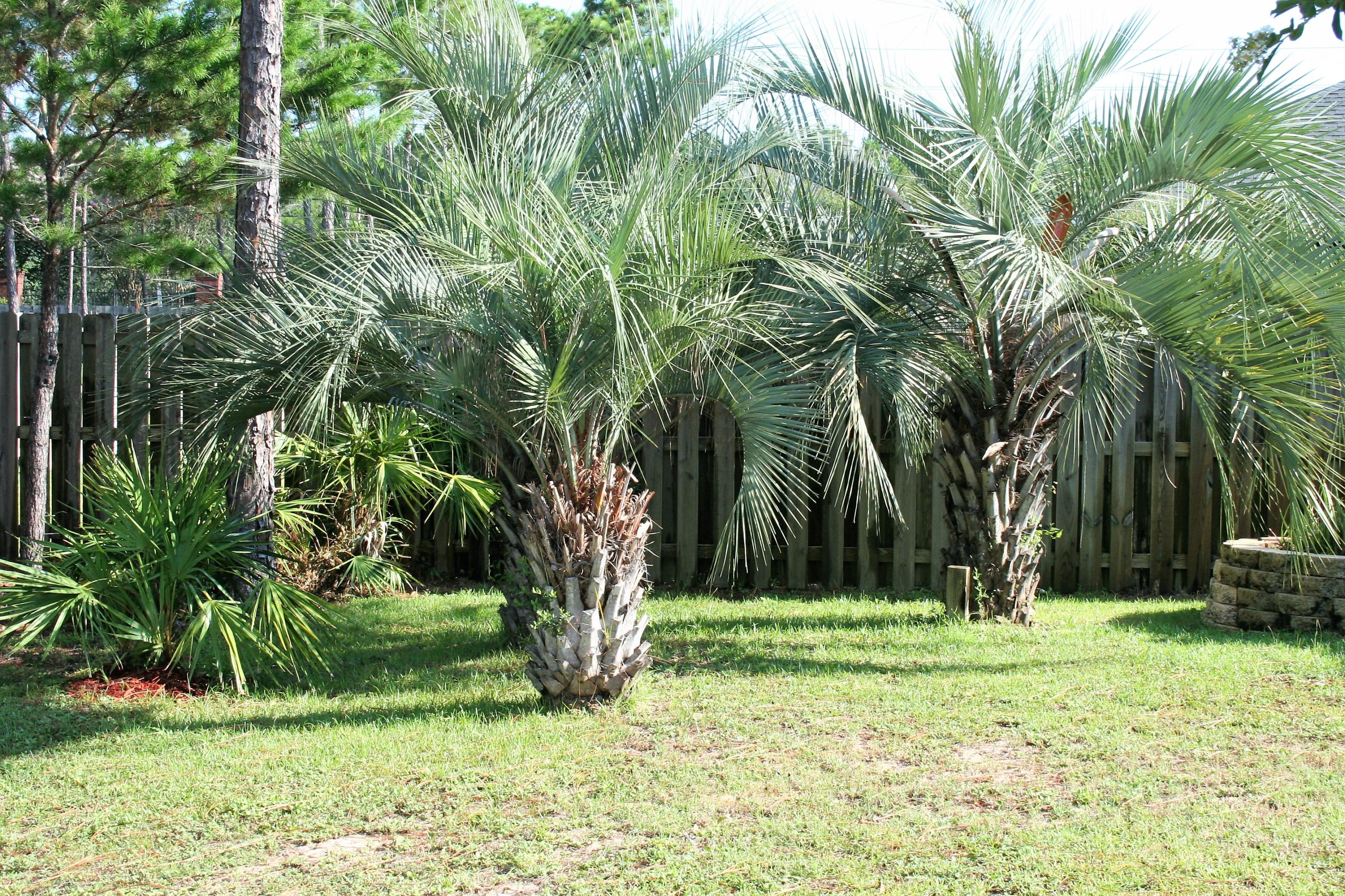 HERITAGE PARK - Residential