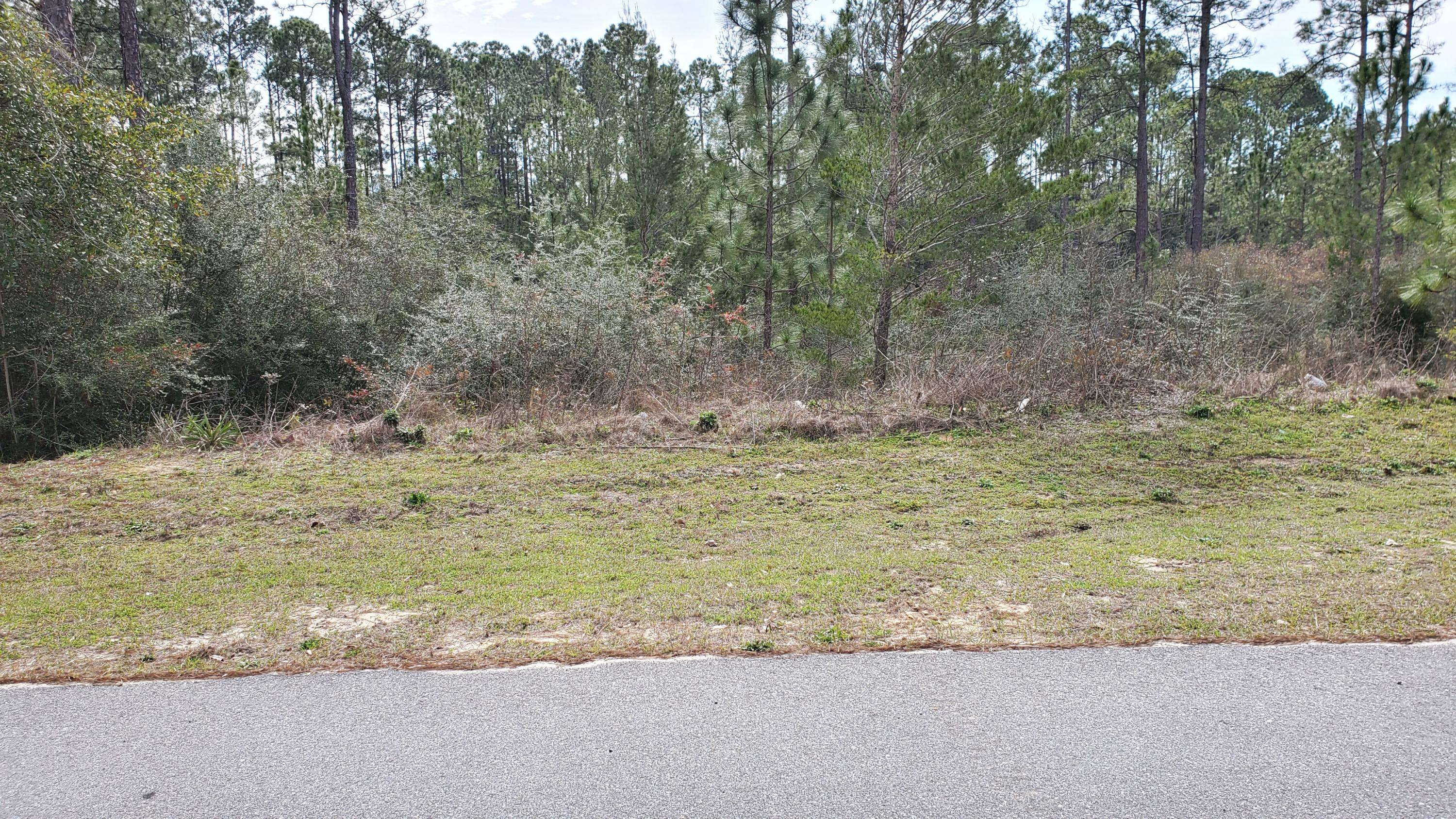 This .39 ac. parcel has paved road frontage and is located in a great location off Hwy. 90, with easy access to Niceville, Crestview and DeFuniak Springs. Call today to take a look!