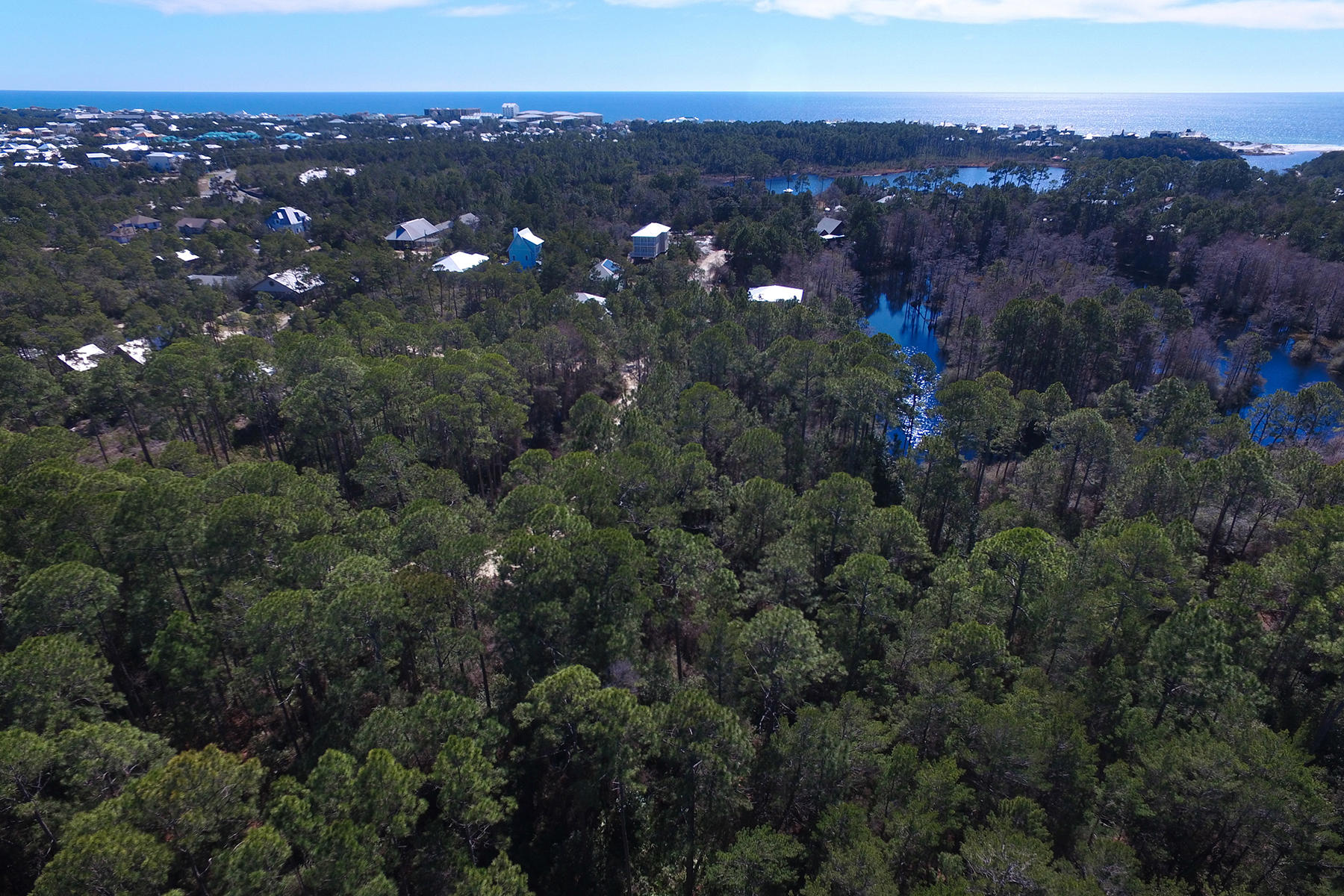 Incredible opportunity for privacy and access to beach and bike trail on 30A, plus direct access to Point Washington State Park from this wooded lot. This 100x100 lot would allow for home, guest house and pool if desired. Mature magnolia trees creates a backdrop for the perfect Emerald Coast home. The generous frontage would also accommodate a design with a side load garage or one story home. This quiet neighborhood has no through streets which limits passing traffic.Backing up to Point Washington State Park ensures privacy as well as access to the trail system. Walk to the 30A bike trail, restaurants and Blue Mountain shops and beach from your front door. No neighborhood association dues to pay.