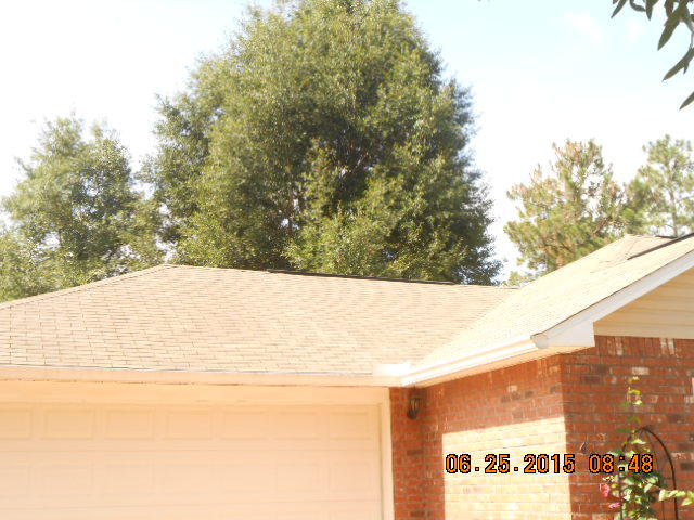 THE PINES - Residential