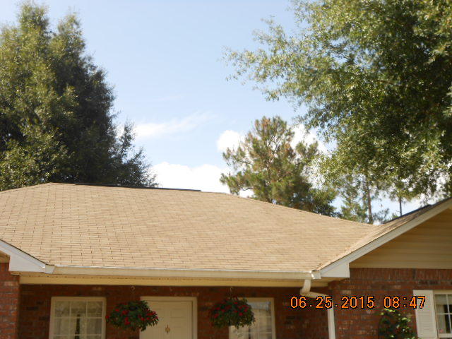 THE PINES - Residential