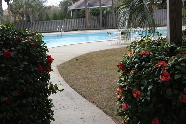 EMERALD BEACH PH 3 - Residential