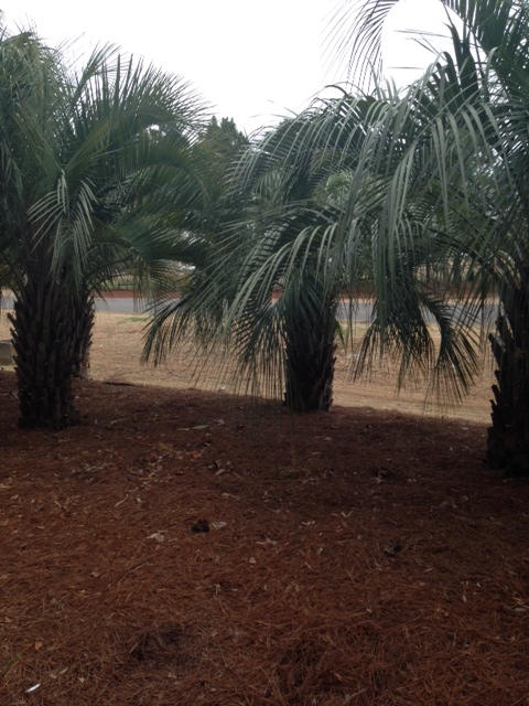 INDIAN LAKE - Residential