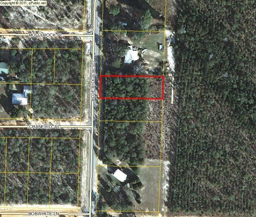NICE LOT IN MOSSY HEAD! This lot is priced to sell. Mostly wooded level lot on a paved road in Mossy Head. Suitable for a mobile home, or build your dream home! Lot is being sold AS IS. Lot shows on Property Appraiser's website to be .229 acres, but measuring tool and dimensions on website show lot to be approx .4 acres. Buyer to verify all utilities, dimensions and acreage with Walton County officials or via survey at Buyer's expense.