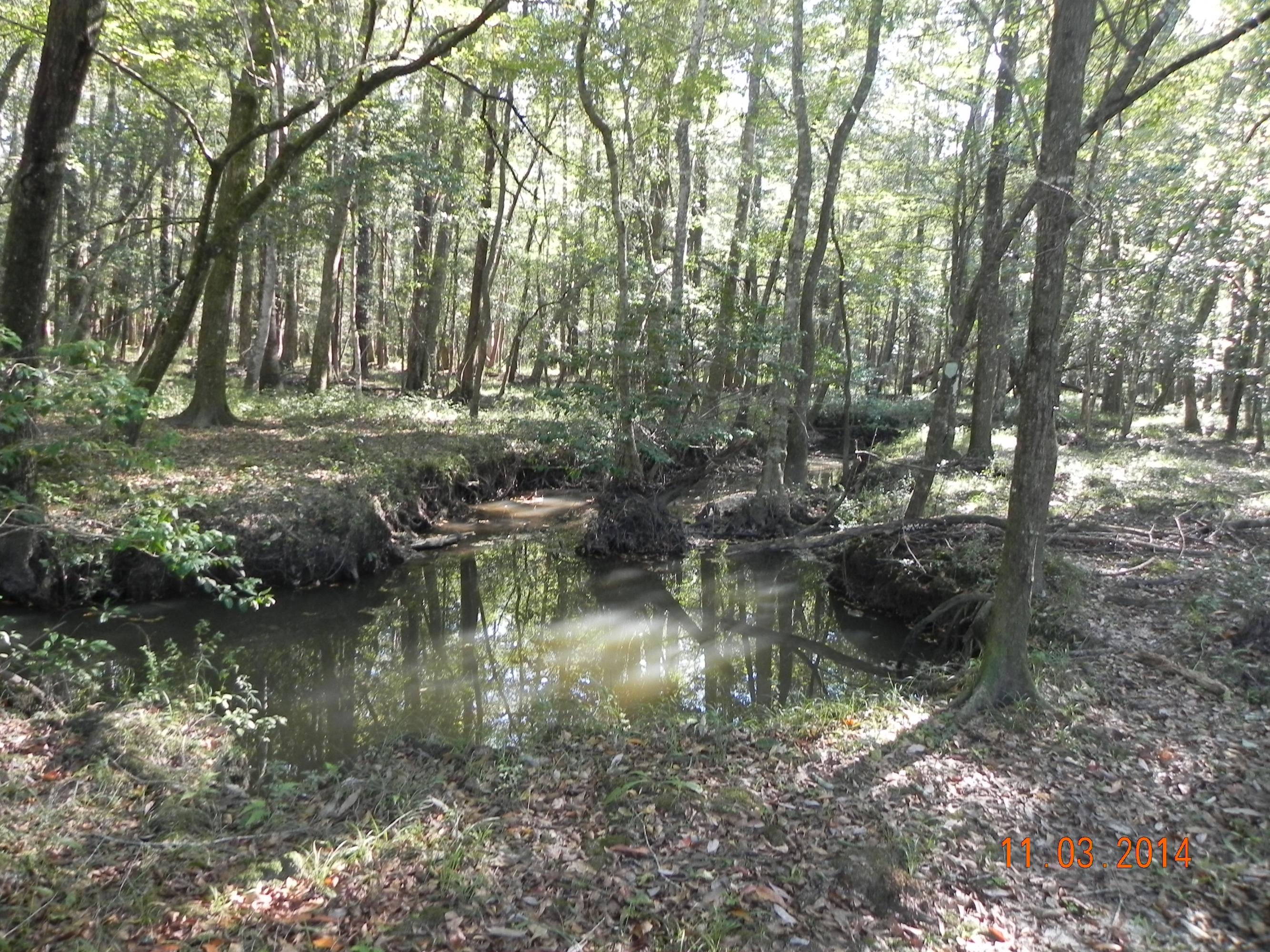 County - Residential