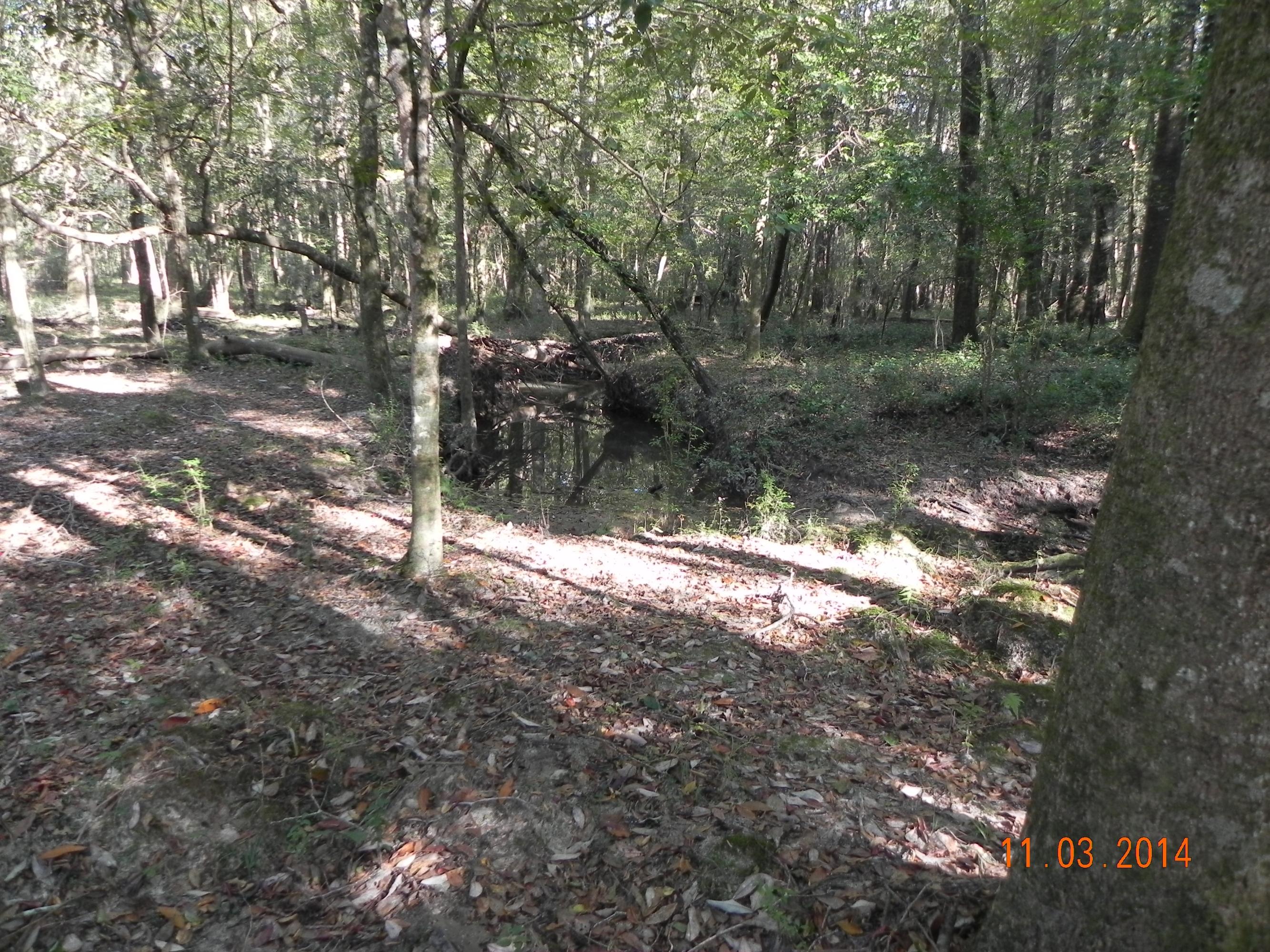 County - Residential