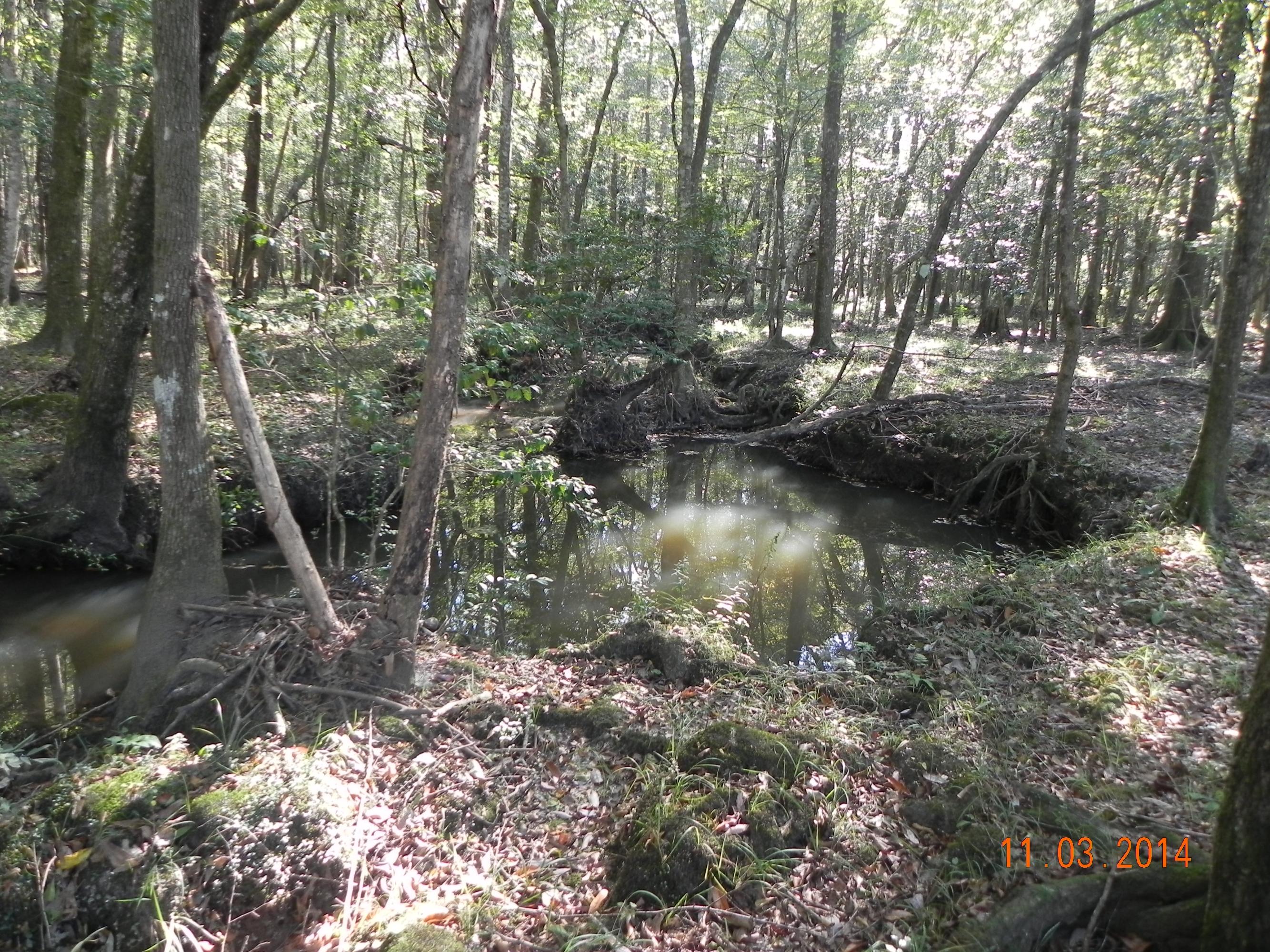 County - Residential