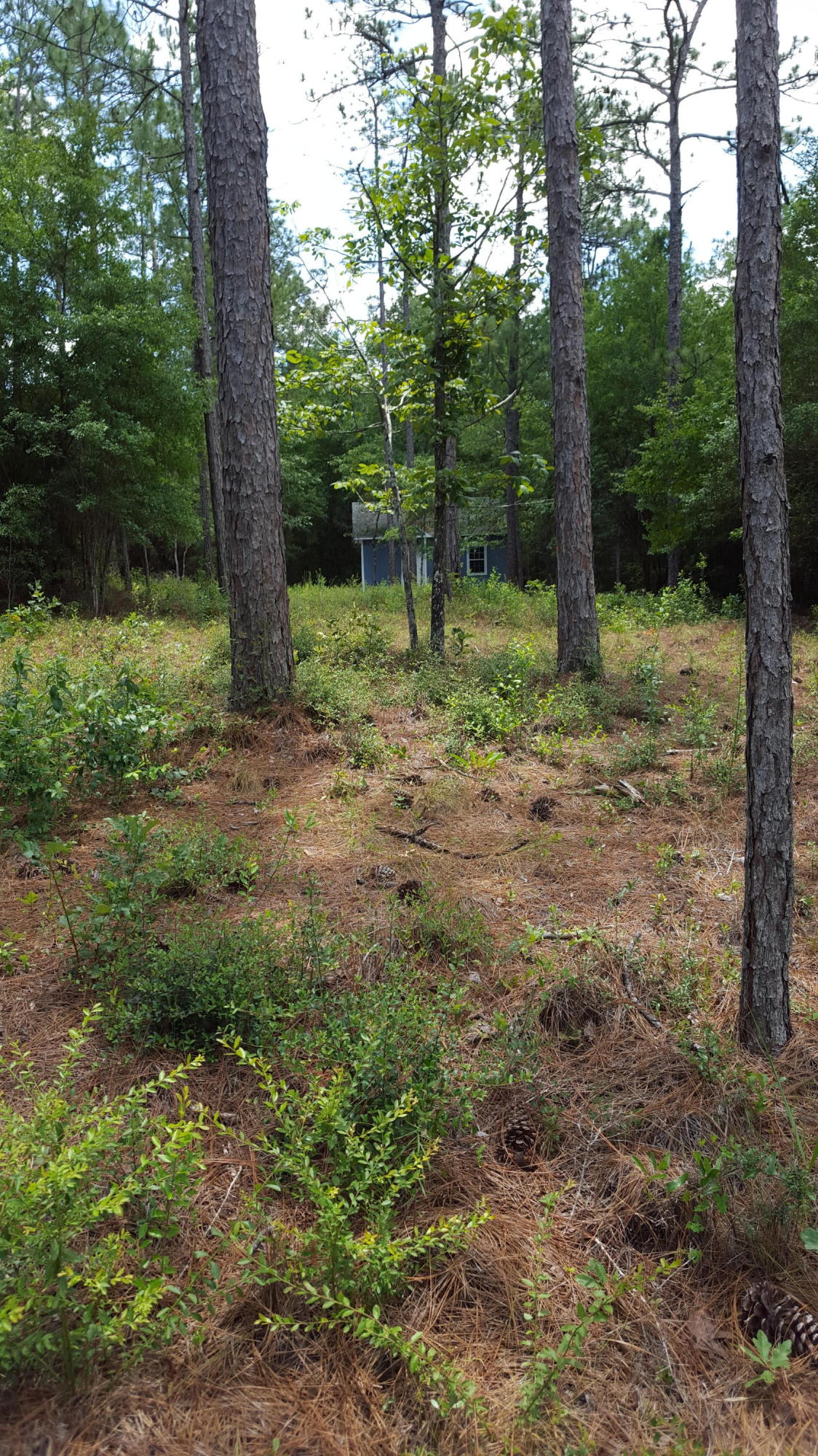 CLEAR CREEK ESTATES - Land