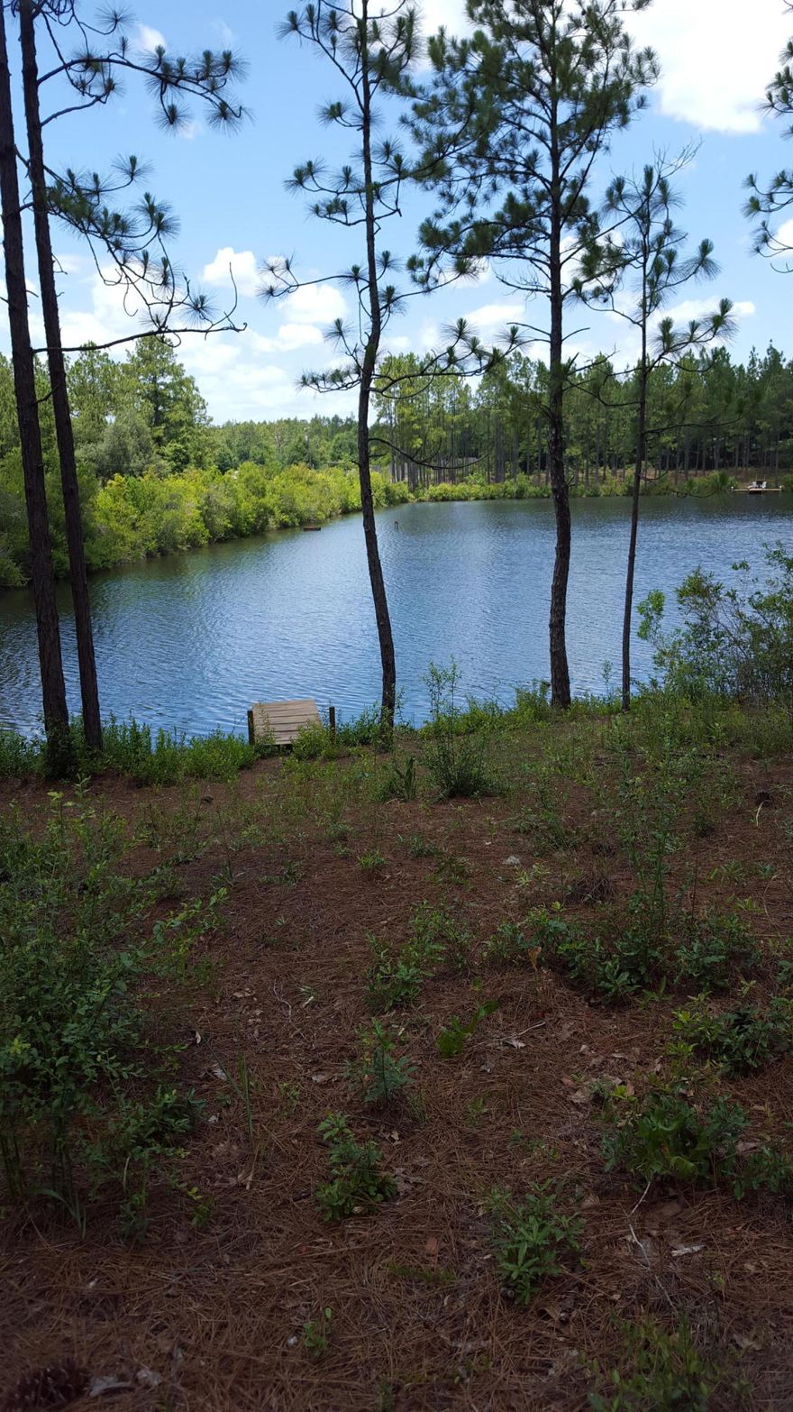Excellent corner wooded lot with approximately 150 ft lake front access. There is a cabin on the property (12'x24') with electric power. There are restrictions to protect your investment (no mobile homes or modular homes). The lake is stocked with fish, a great place to get away for the weekend or build your future home.Buyer to verify all dimensions.