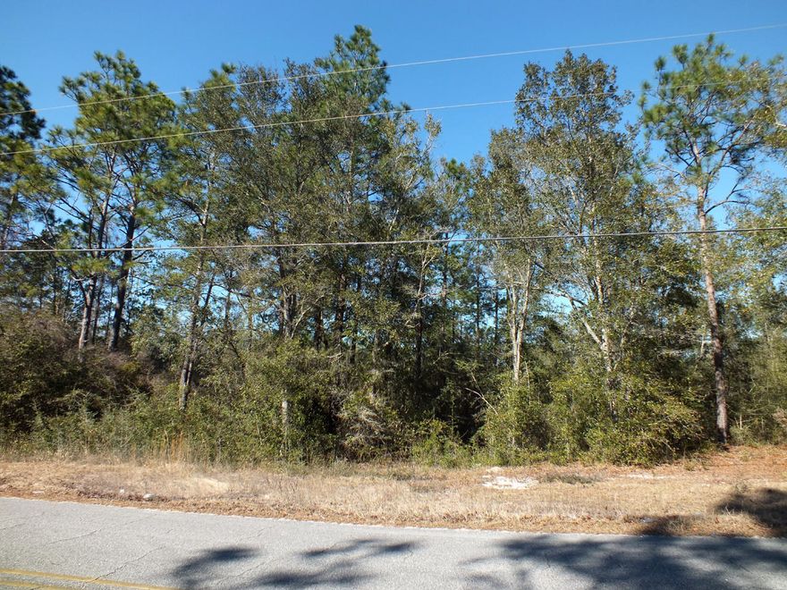 Very nice vacant land parcel offering several building possibilities.  Public water and power are available at the road; however, a septic system will be required.  The property can be split into 2 parcels, as the zoning is Rural Village, offering an ideal situation for 2 families.  The land is within 15 minutes of historic downtown DeFuniak Springs and less than 1 hour to the beaches, dining, and shopping of South Walton.