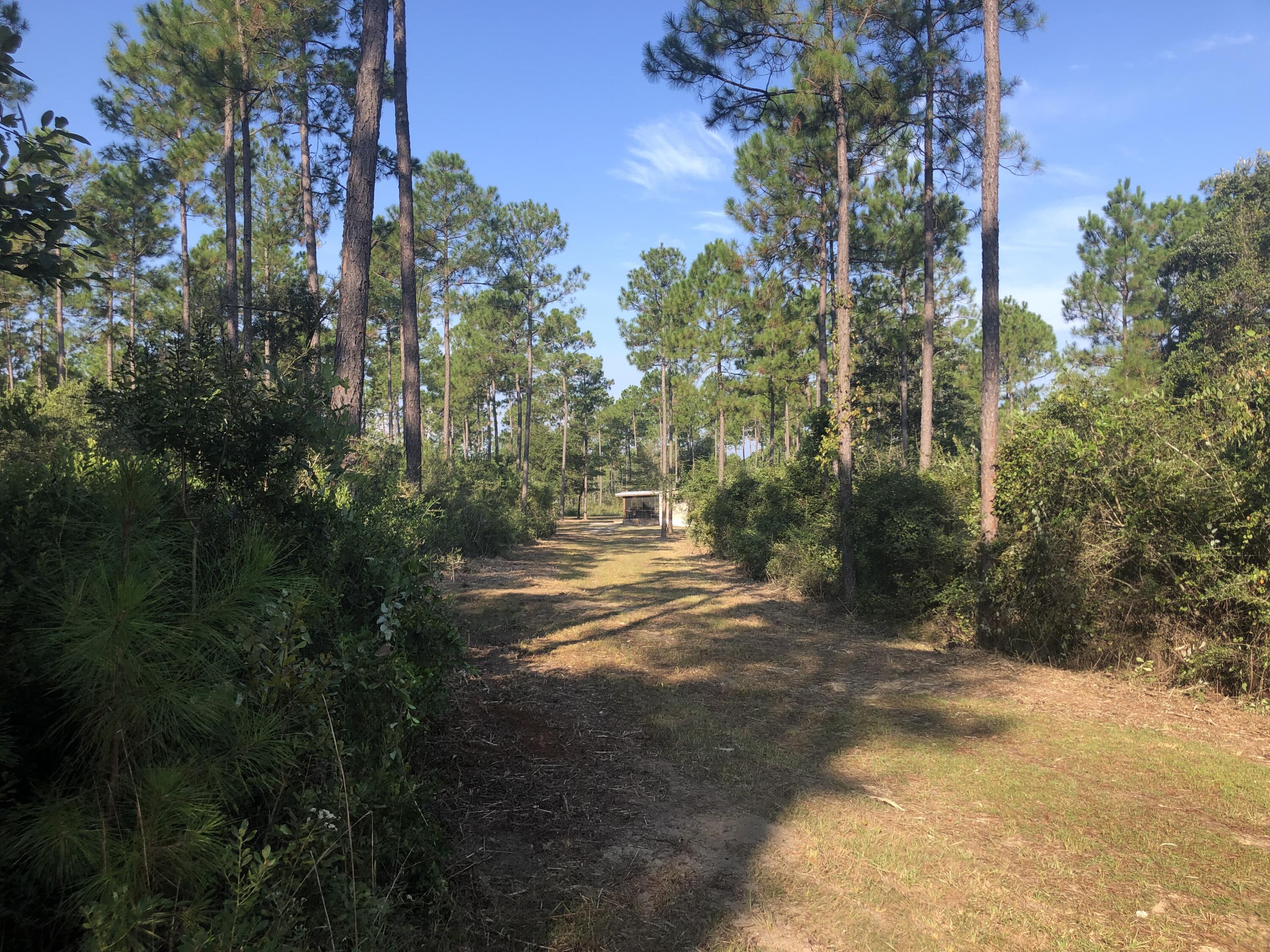 WALTON PLANTATION - Residential