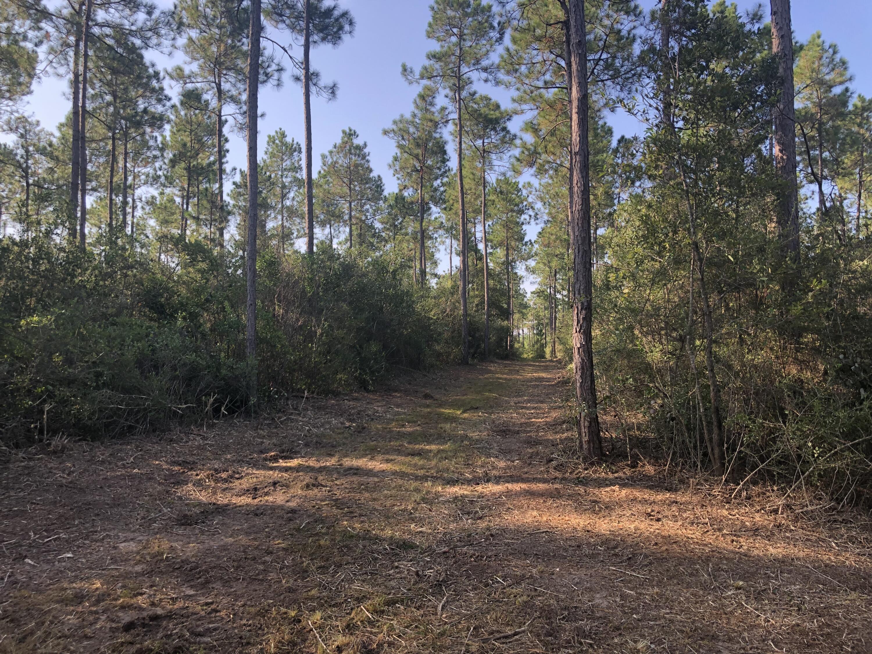 WALTON PLANTATION - Residential