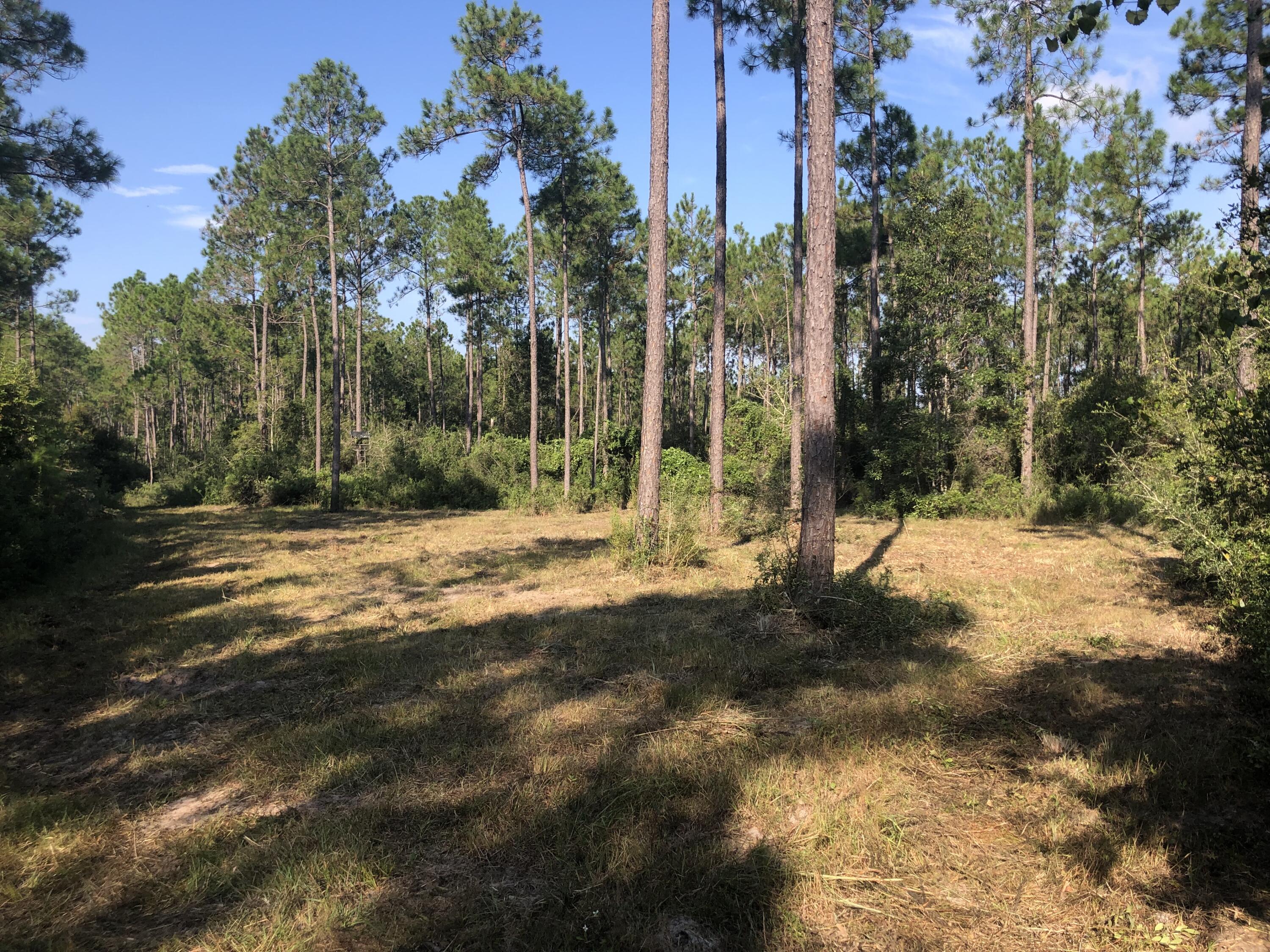 WALTON PLANTATION - Residential