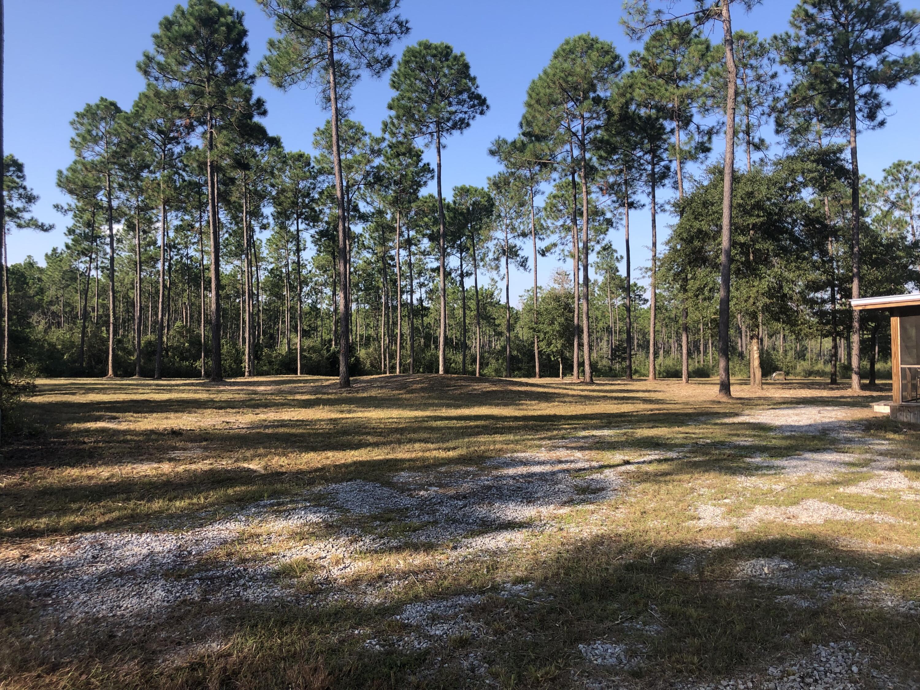 WALTON PLANTATION - Residential