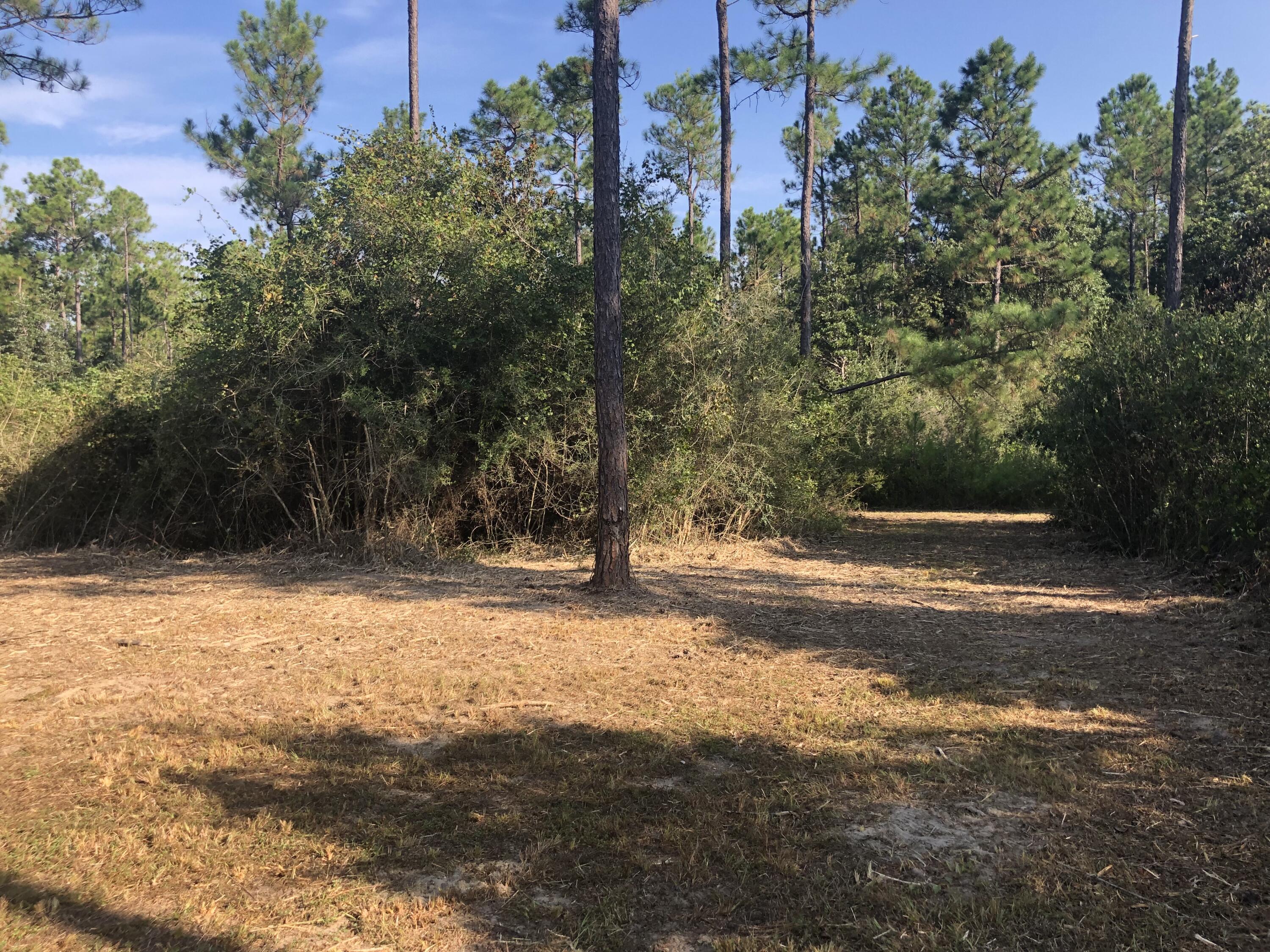 WALTON PLANTATION - Residential
