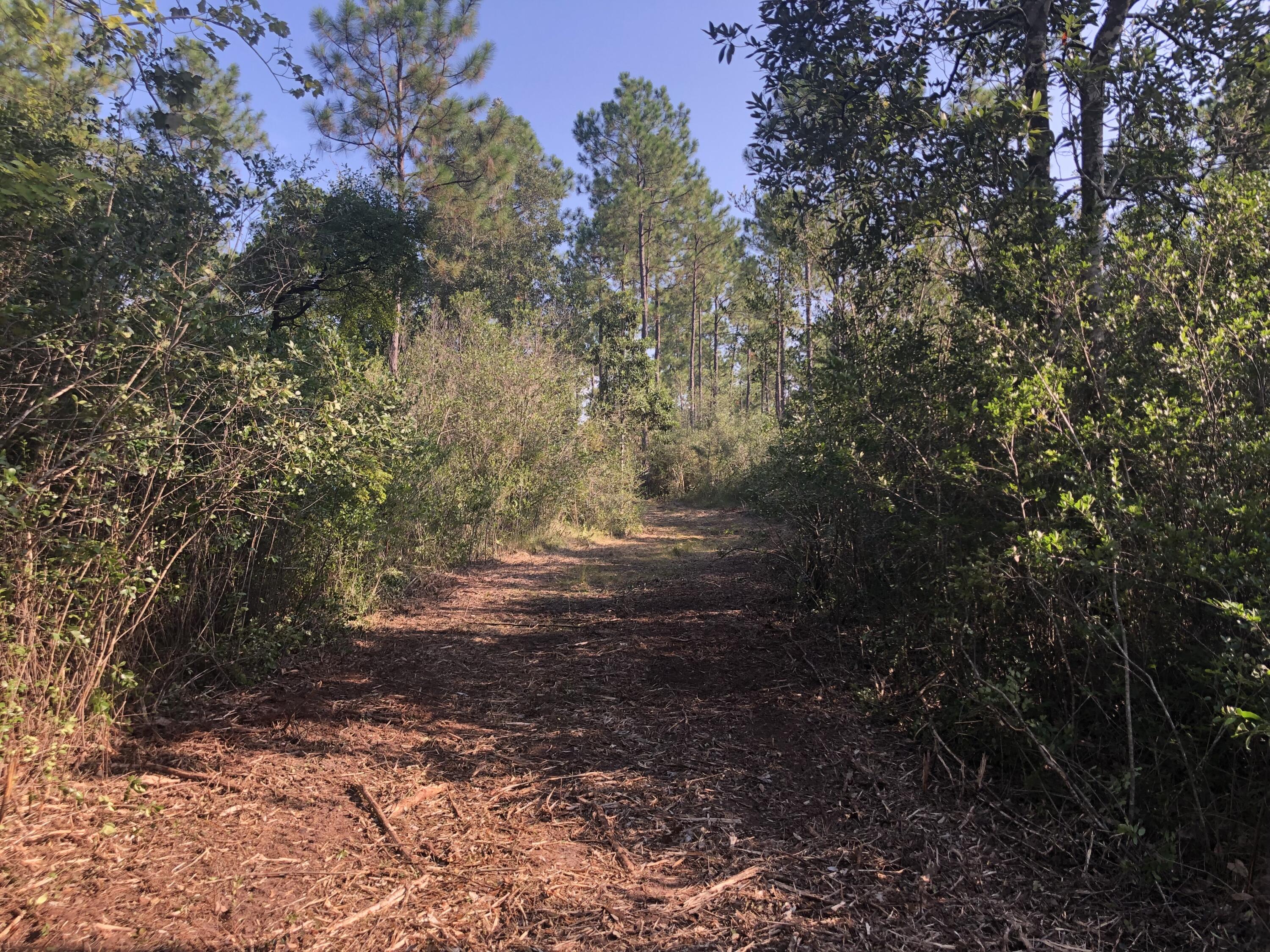 WALTON PLANTATION - Residential