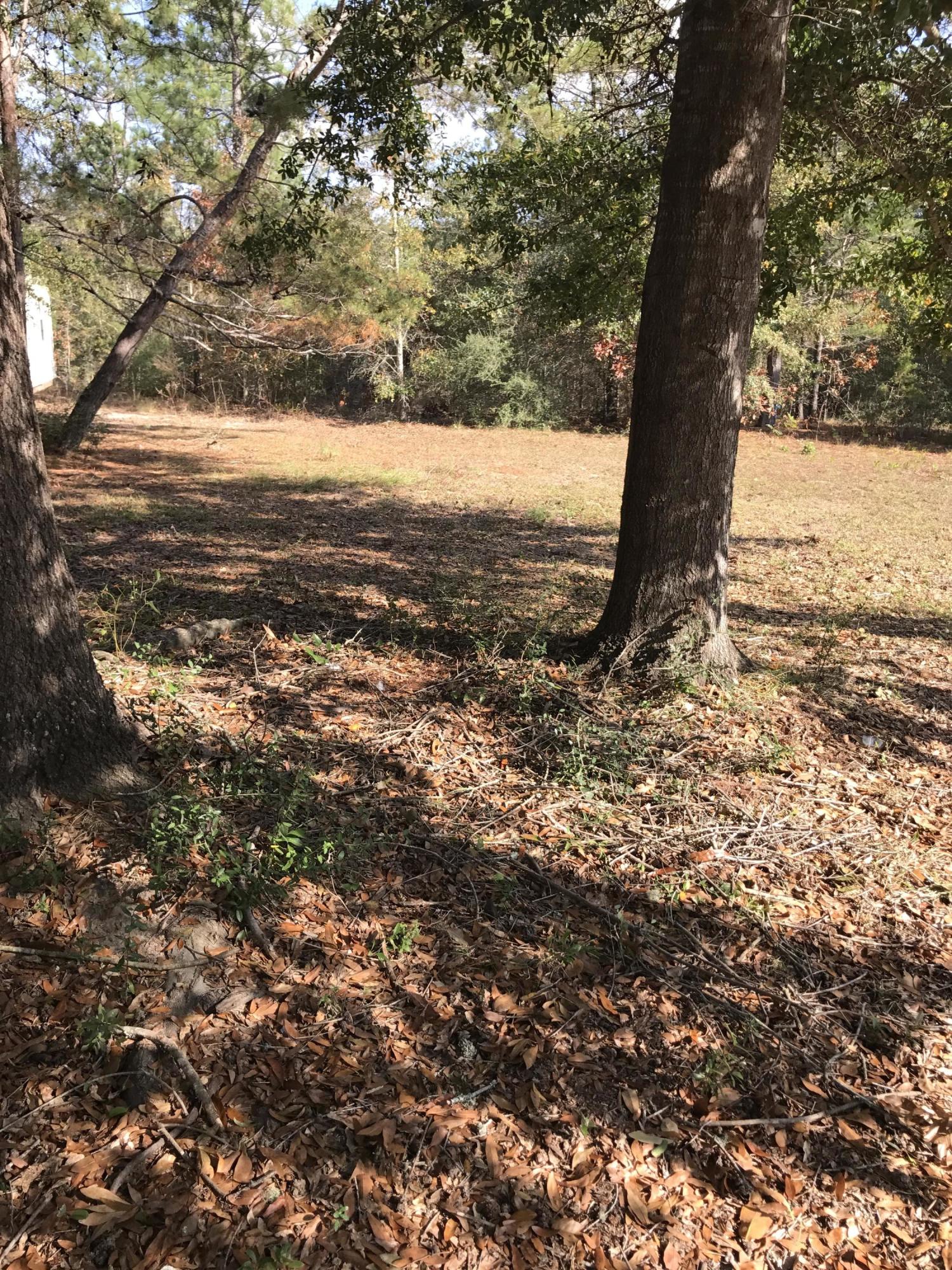 LOT 17 BLK 1 LAKE JUNIPER EST UNIT 3 PB 5-6 OR 2253-82 OR 2293-720 OR 2903-709 - Residential