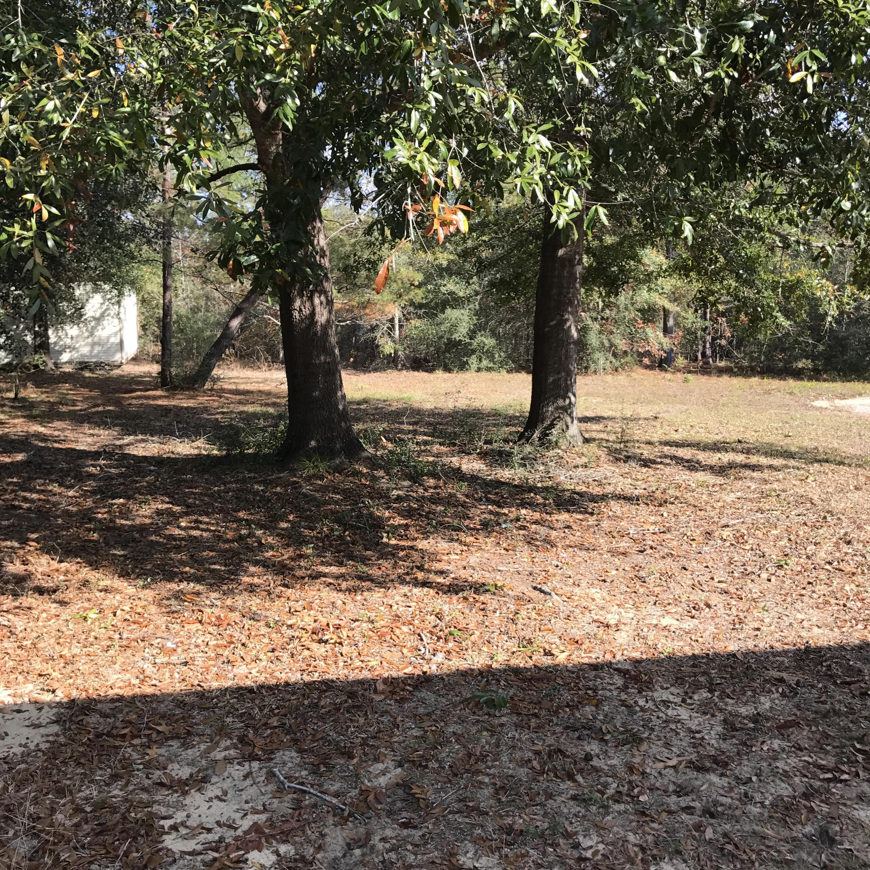 LOT 17 BLK 1 LAKE JUNIPER EST UNIT 3 PB 5-6 OR 2253-82 OR 2293-720 OR 2903-709 - Residential