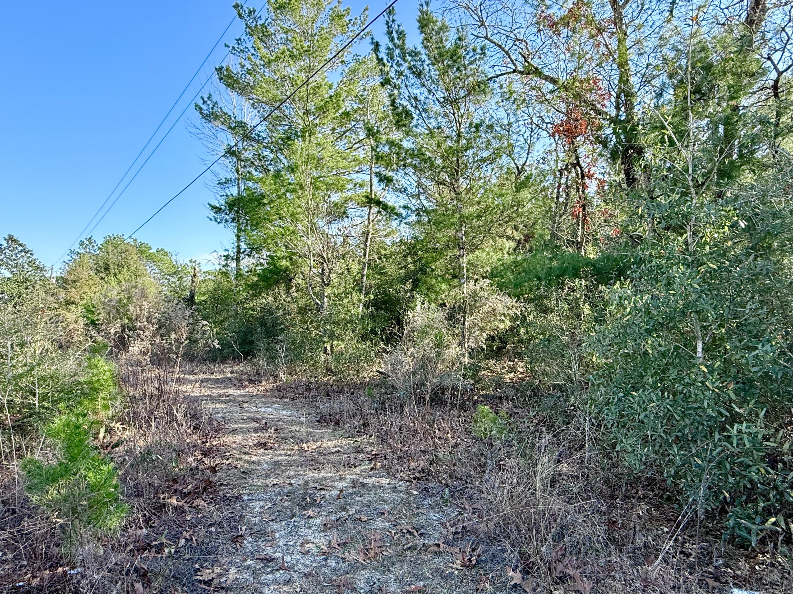 Oakwood Hills Unit I - Land