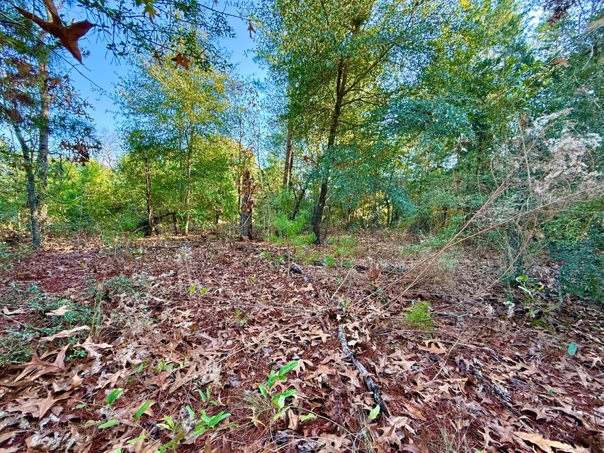 Nestled among the serene beauty of DeFuniak Springs, this exceptional property in the fast-growing community of Mossy Head, FL offers the perfect balance of natural surroundings and everyday convenience. With outstanding versatility, the property is well suited for building your custom single-family home or placing a mobile home to fit your lifestyle needs.Located in an area experiencing rapid growth with new industries and ongoing development, this homesite presents excellent potential for both personal use and long-term investment. Enjoy easy access to nearby amenities and major transportation routes, including Highway 90 and Interstate 10, all while being part of a thriving Northwest Florida community. Don't miss this opportunity to secure a prime piece of land in one of the region's most promising markets.

Mobile homes allowed. No HOA. Minimal Restrictions. There are no existing utilities. Power nearby. Power is nearby. The property is Flood Zone X. Per the Walton GIS mapping, the property does not appear to have wetlands.

A Survey must be completed to confirm property lines and dimensions.