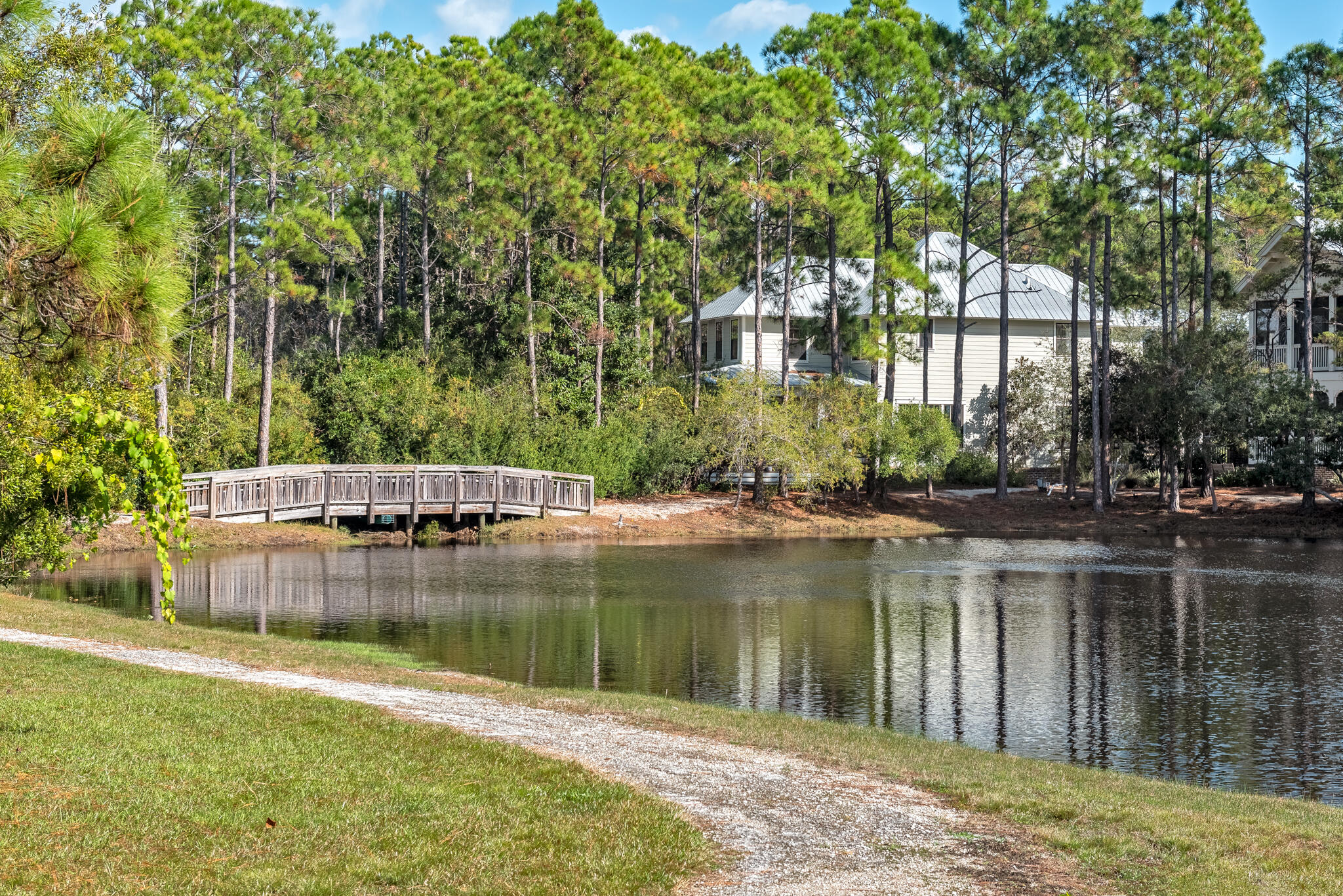 FOREST LAKES PH II - Residential