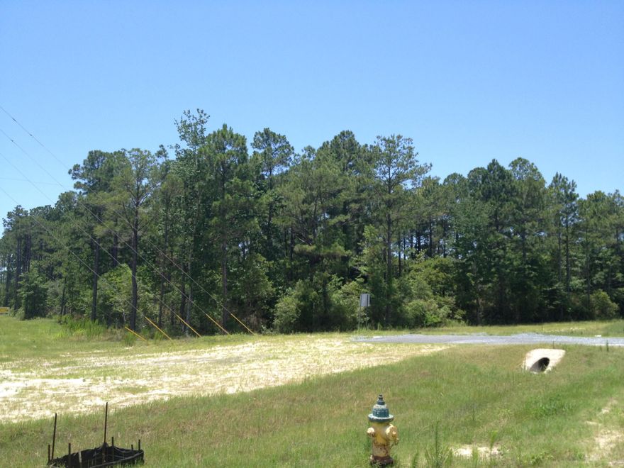 Located where the new development is happening!!! New Publix coming soon just down the street and the widening of Hwy. 331 is well under way and will be completed soon. Buy now before the land prices explode. This site has road frontage on 3 streets for easy ingress and egress. Lots of possibilities!!!!