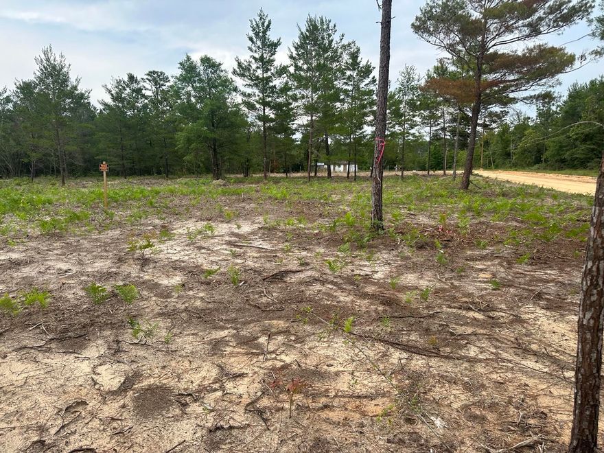 Take advantage of this fantastic opportunity to secure a cleared corner lot in the Oakwood Hills neighborhood. Offering a strategic price point and a prime location, this property boasts convenient access to both U.S. Highway 90 and I-10. Embrace the advantages of constructing your dream home in a tranquil community that imposes no build-out time restrictions or HOA fees.