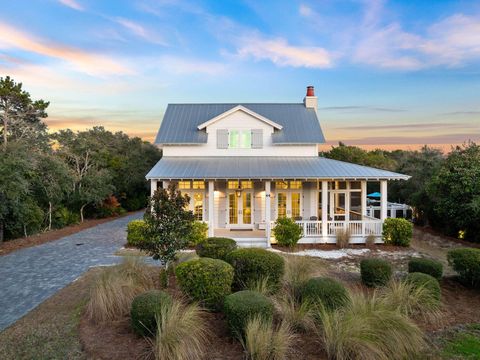44 Seacrest Drive Inlet Beach FL 32461