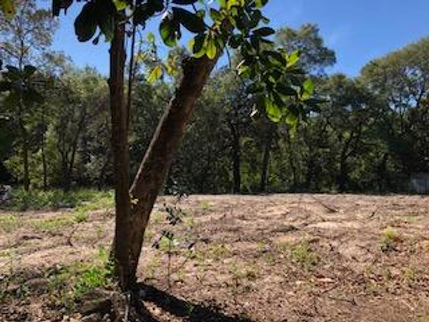 Just over 1 acre, cleared lot. There are wetlands present, but upland is large enough for a 2800 sq foot 2 story home. Seller has survey avail and wetlands assessment. Come on down and sit on this quiet and out of the way lot. Imagine enjoying your newly built home, sitting on the large back porch with private back yard. Check out the boat ramp just blocks away. Conveniently located in town and no HOA.Buyer to verify all measurements and other items deemed necessary for purchase.