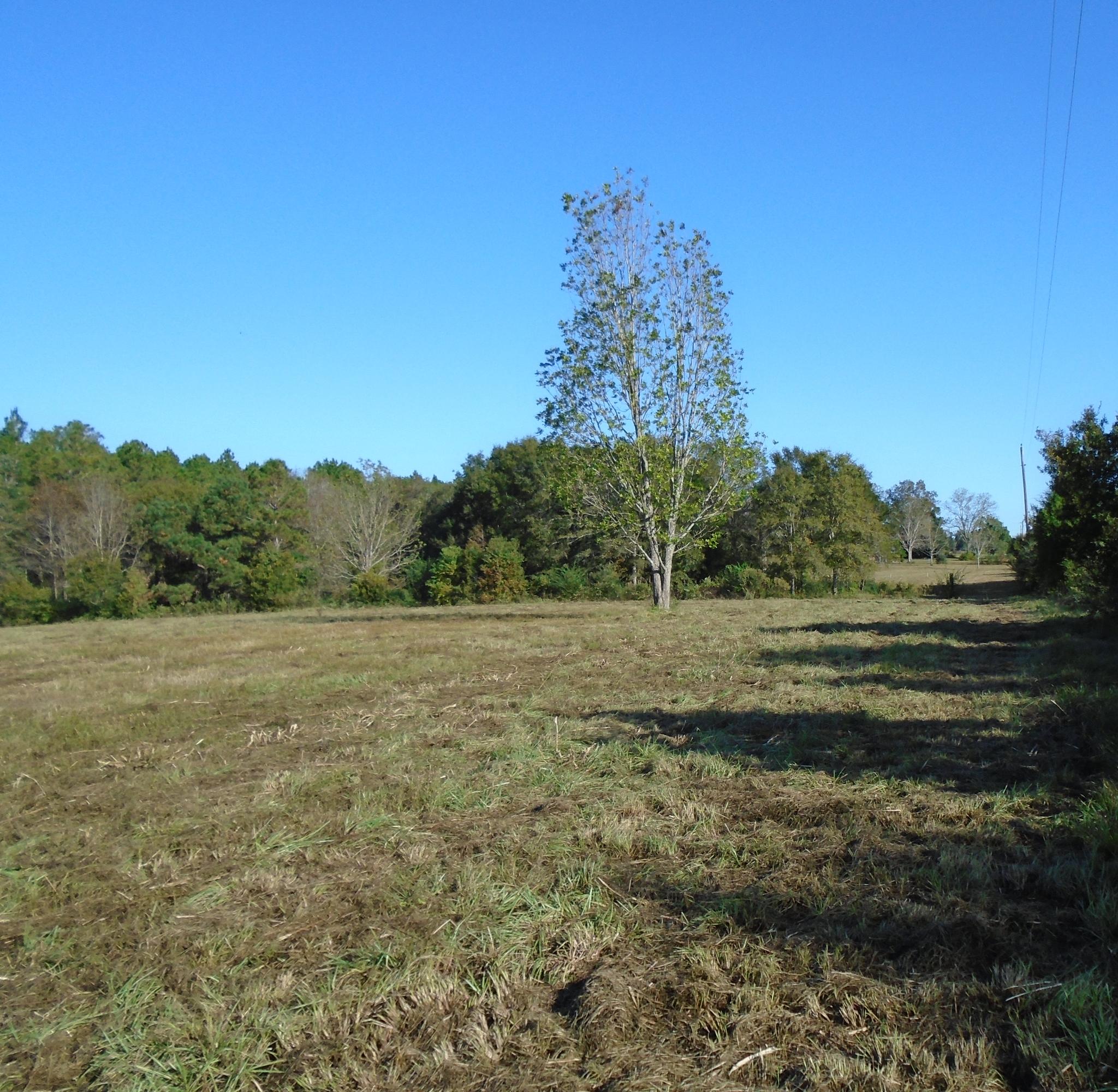 Located in the North End of Walton County, 7.54 acres of mostly cleared land in PASTURE. What a perfect home site located on a paved County Road. Fencing around boundary. In the center of the property is a cluster of Beautiful Oaks with a very small flowing creek. Several pecan trees are also on the property. Property has recently been mowed. Copy of 2012 survey in file. Can't beat the location.