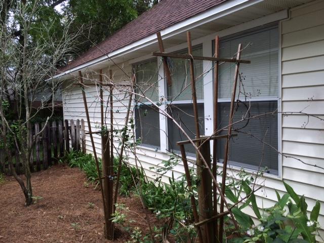 PARKWOOD AT BLUEWATER BAY - Residential