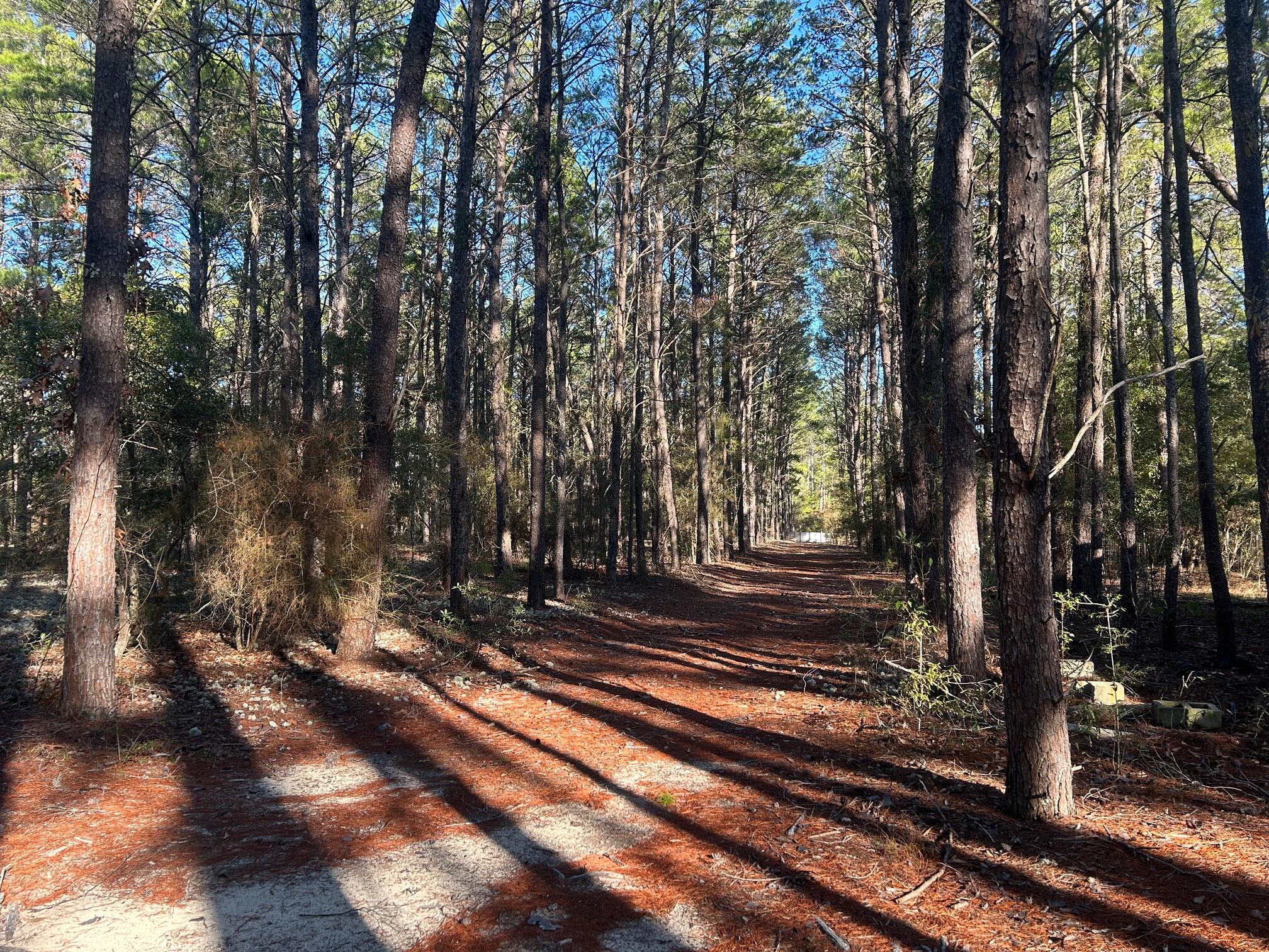 Peaceful 9.7 Acres of wooded property with 2 Out Buildings & old Mobile home. The Circle Driveway is only on the upper half of property. Buildings are Currently being used as storage, a 20 x 40 Workshop/Garage with Electricity & 6 inch Concrete Floor. Another 16 x 28 Out Building with Power/Water and 1/2 bath, The beginning of a Cottage. The Mobile home on property -of NO Value. There is double Septic System center of all structures. The property Borders a Nature Preserve offering opportunities to enjoy many unique types of wildlife. Location estimated 30+ minutes to the Beach. Midway between Freeport & Defuniak for 12+ minutes to Restaurants & shopping. This is the REAL DEAL for a Great Value & this seller is ready to sell!. Call to view.