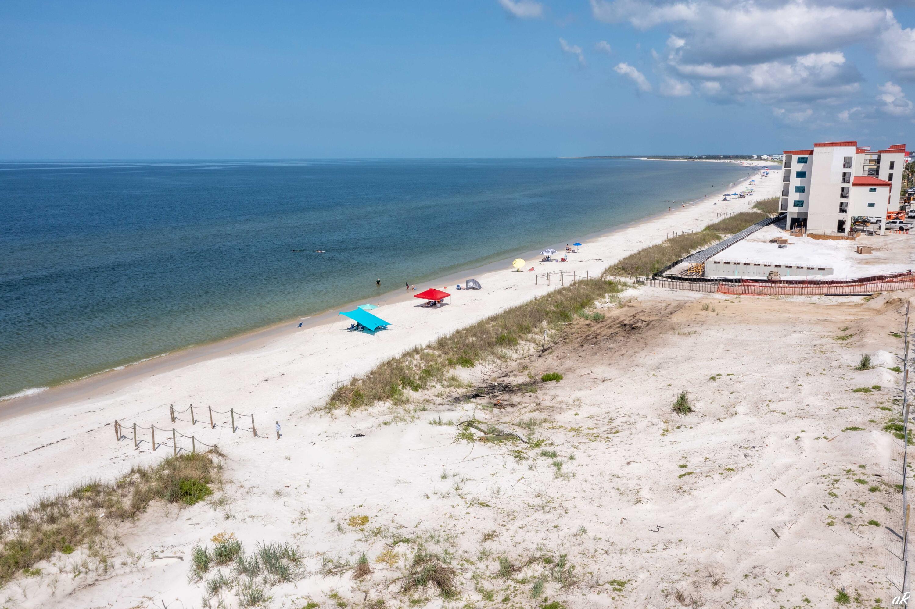 Ocean Plantation - Land