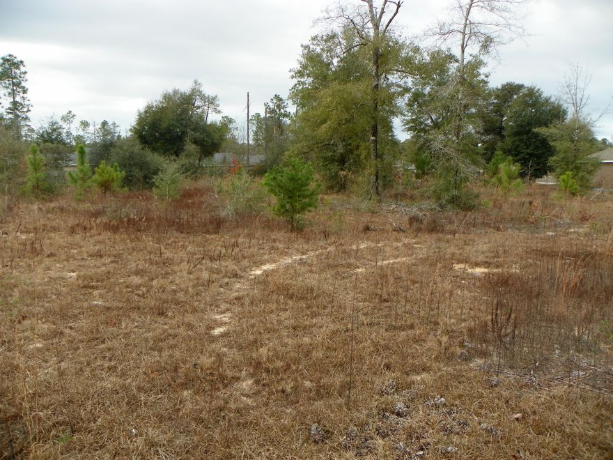 Level, vacant lot ready for new home! .26 acre, located off of Hwy 90, very close to Crestview and Niceville! Owner is also selling adjoining lot (.28 acre)!