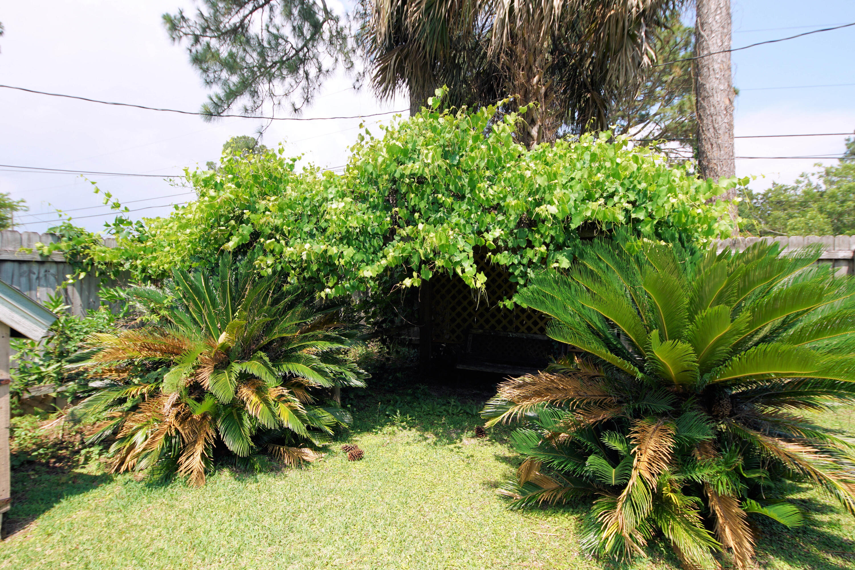 TANGLEWOOD S/D 1ST ADDN - Residential