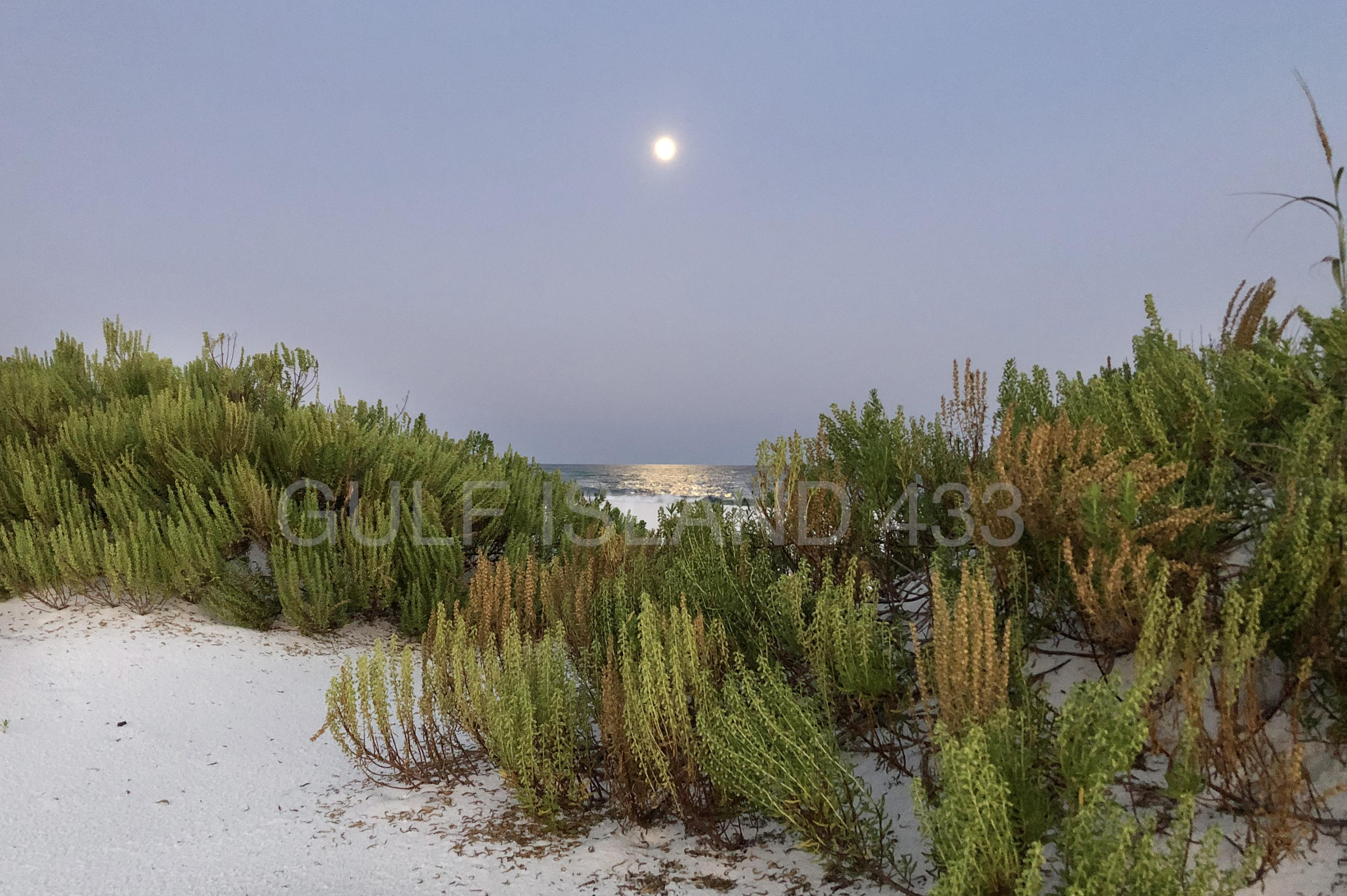 GULF ISLAND CONDOS - Residential