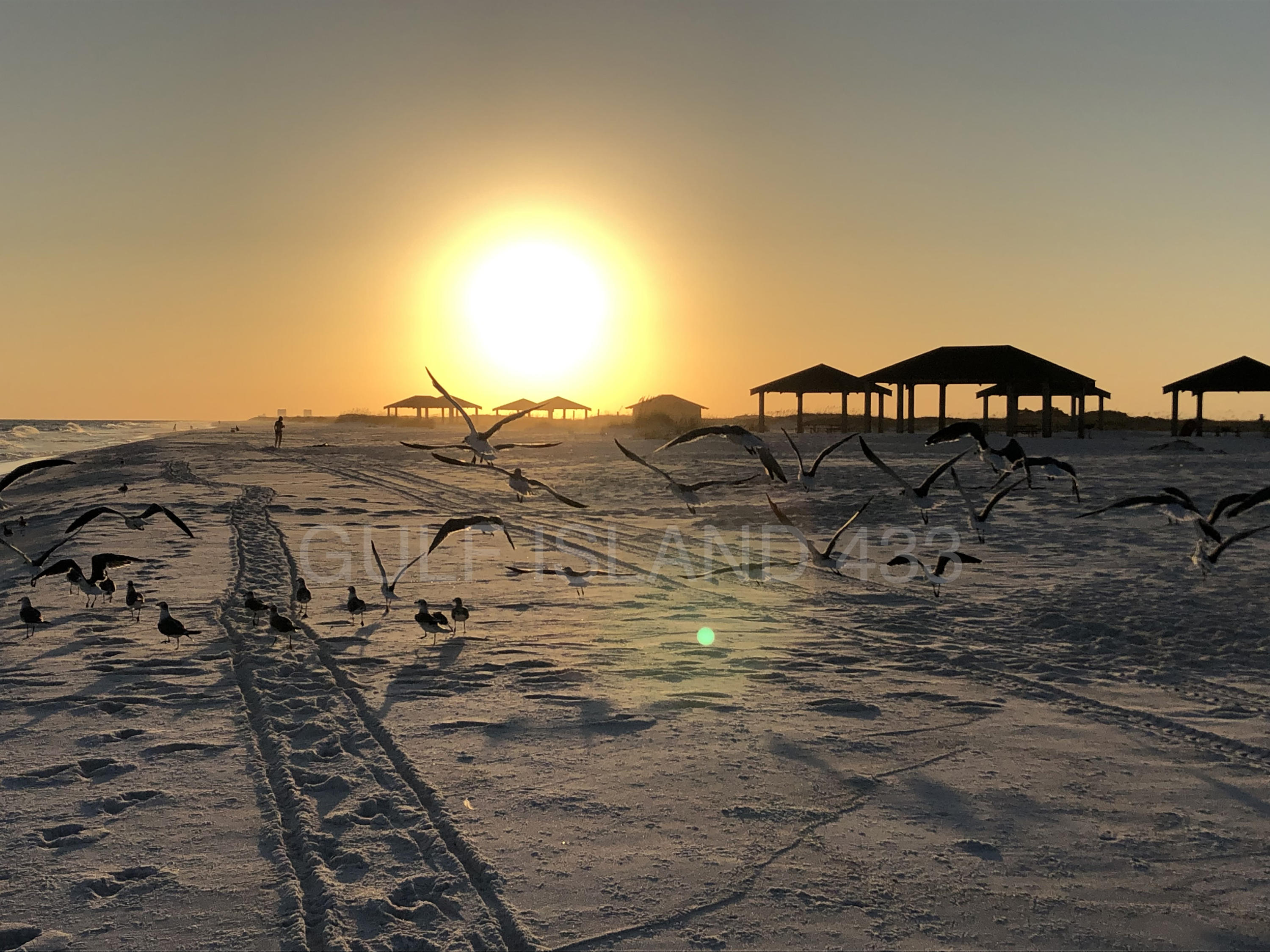 GULF ISLAND CONDOS - Residential