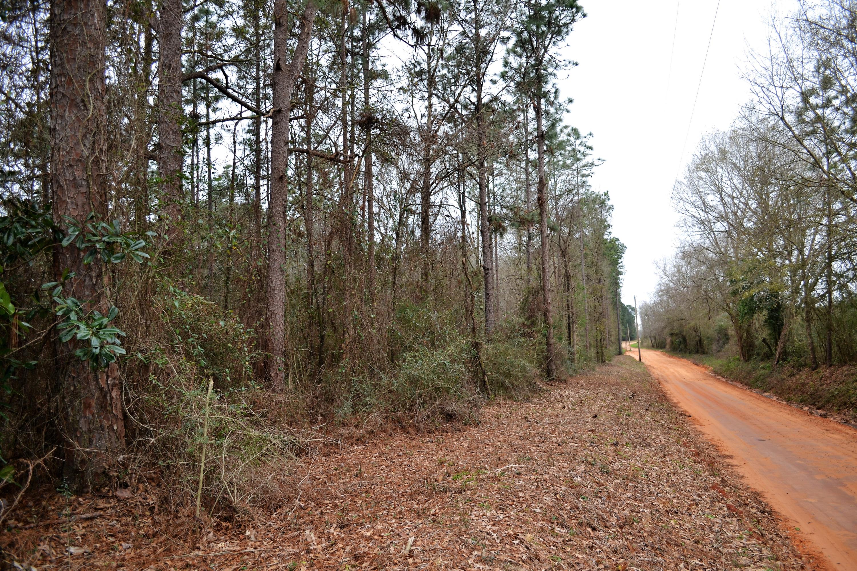 36.33 Acres untouched wooded parcel in Baker. If you are looking for privacy this land has it. Property sits approximately 200 feet off Hwy 189 and is 6 miles North of Baker. Owner has just completed a new survey. Buyer to verify measurements.